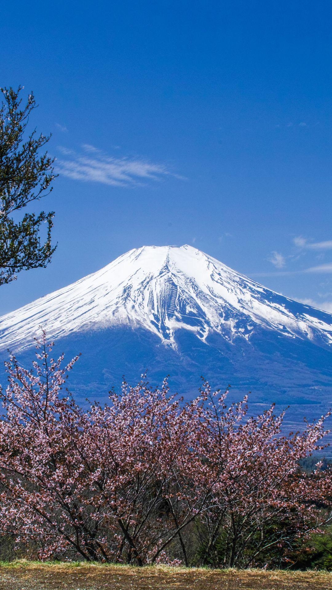 Mount Fuji, Erde, Hintergrund, Landschaft, Japan, 1080x1920 Full HD Handy