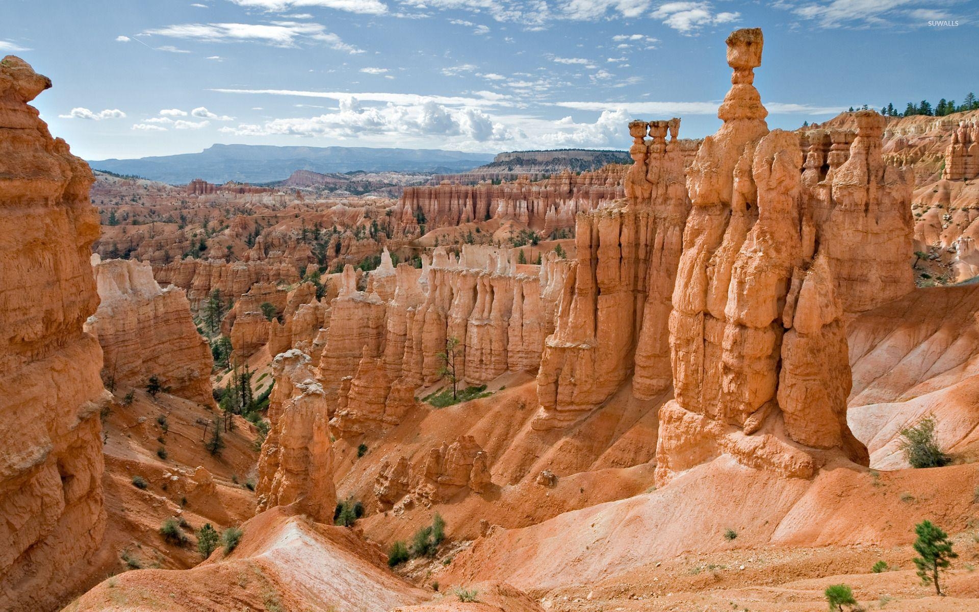 Bryce Canyon Nationalpark, Landschaft, Utah, Natur, USA, 1920x1200 HD Desktop