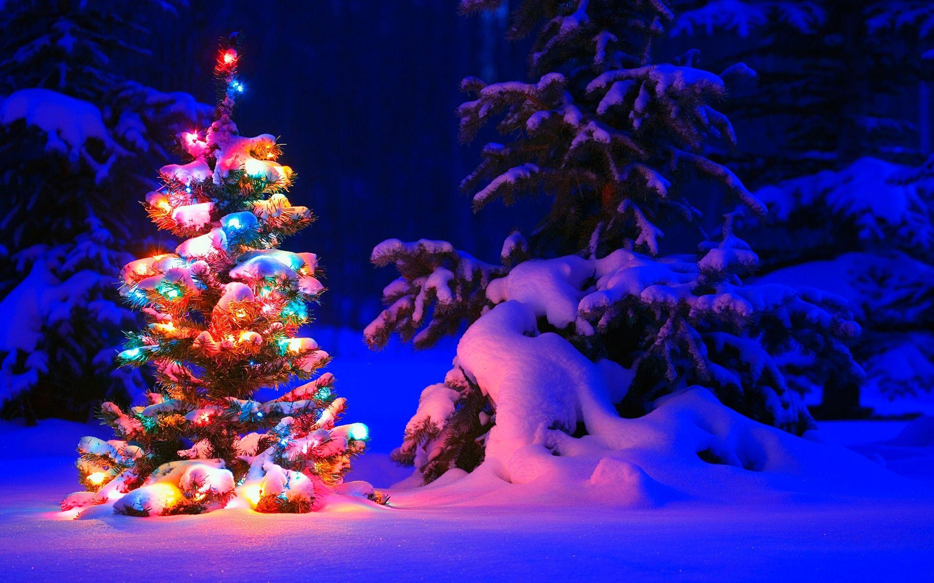 Schnee, Weihnachtsbaum, Lichter, Hintergrund, Feiertag, 1920x1200 HD Desktop