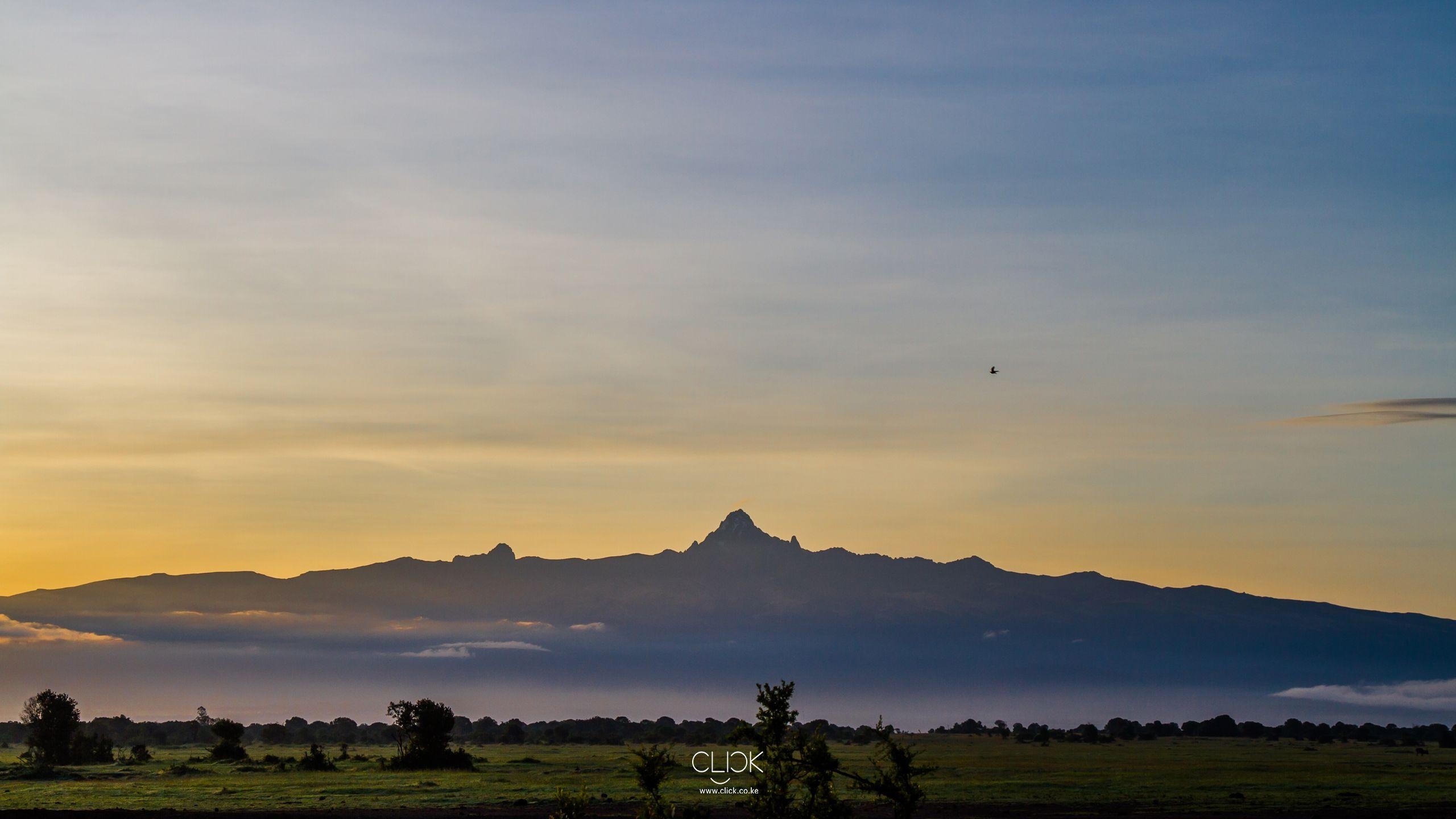 Kenia Reisen, Kenianische Landschaft, Drake, Afrikanische Savanne, Nairobi, 2560x1440 HD Desktop