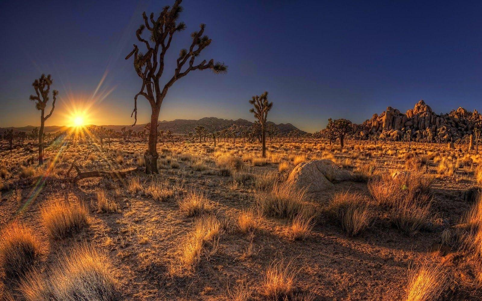 Tucson Arizona, Himmel, Landschaft, Scenic, Wüste, 1600x1000 HD Desktop