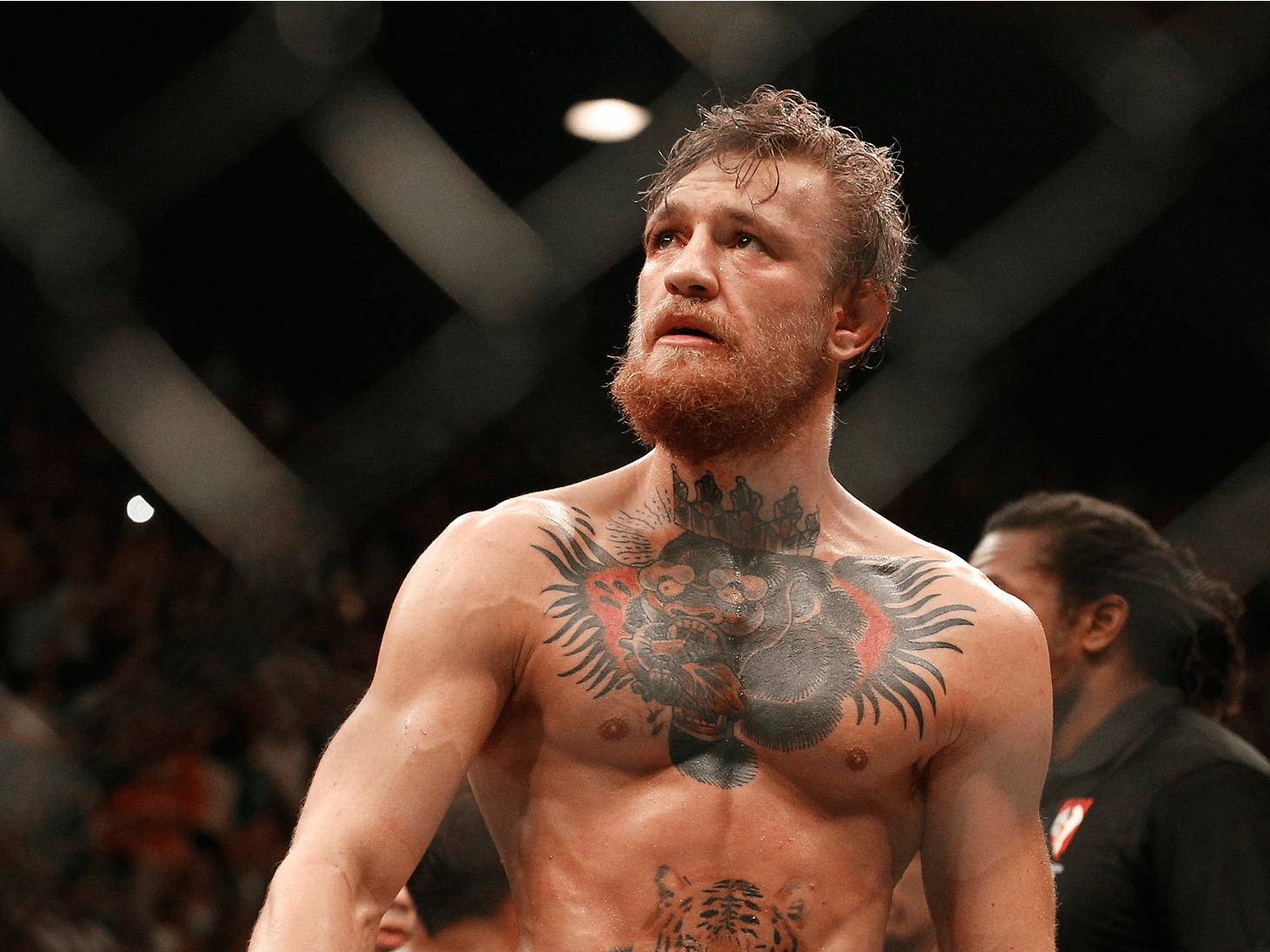 Conor McGregor, Hohe Qualität, UFC, Sportikone, Irland, 1470x1100 HD Desktop