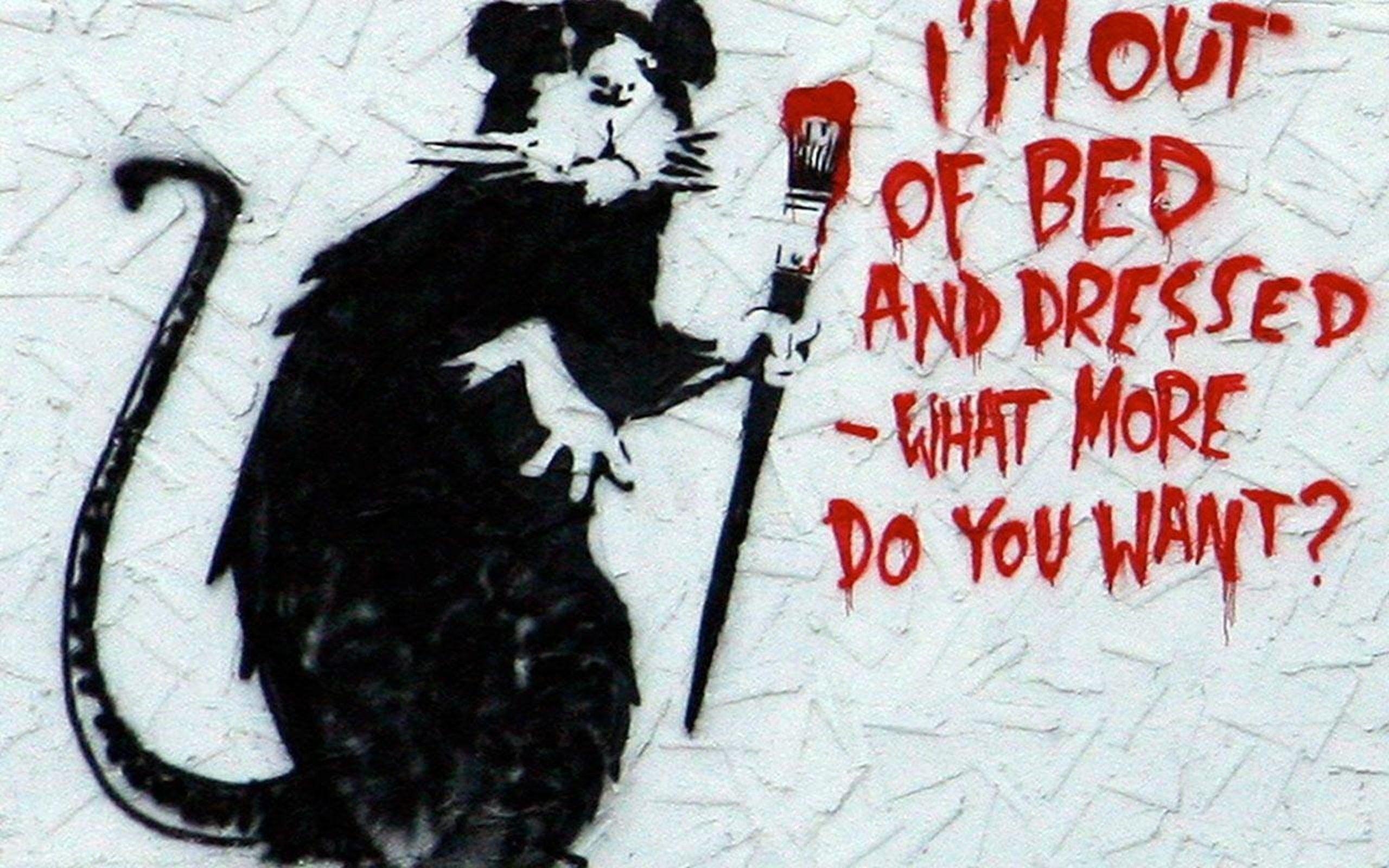 Banksy Kunst, Graffiti, Street Art, Urbaner Stil, Banksy Thema, 2560x1600 HD Desktop