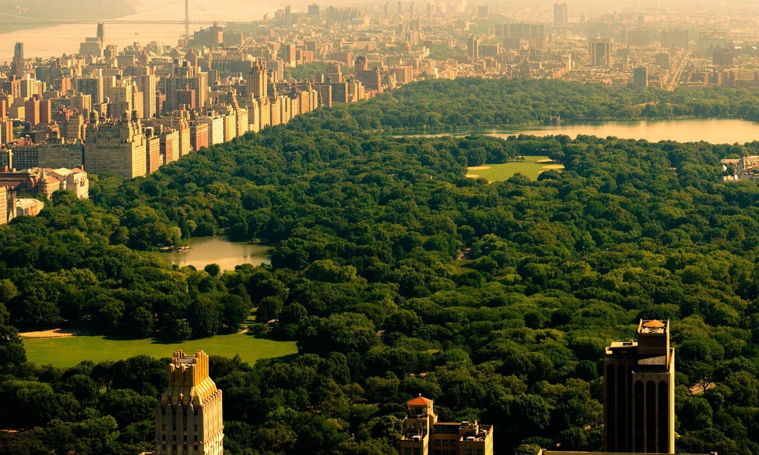 Central Park, 23 x 900, Reisen, New York, Foto, 1500x900 HD Desktop