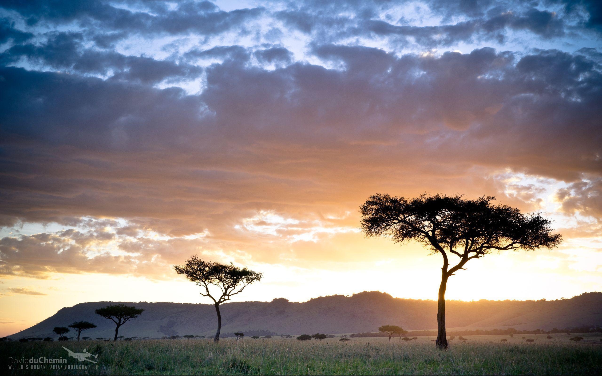 Kenia, Reisen, Hintergrund, Afrika, Safari, 2560x1600 HD Desktop