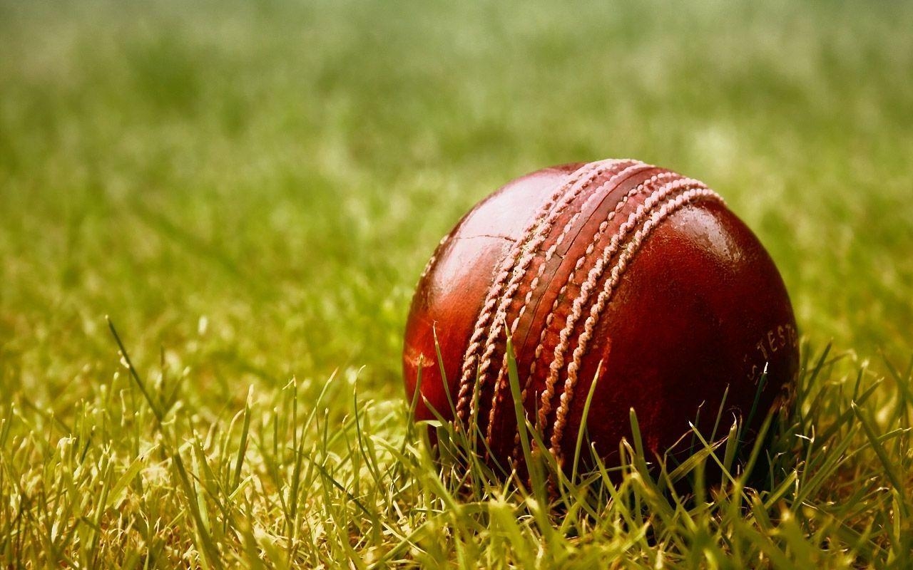 Cricket Wallpaper, iPhone, Neuestes, Cricket, Sport, 1280x800 HD Desktop