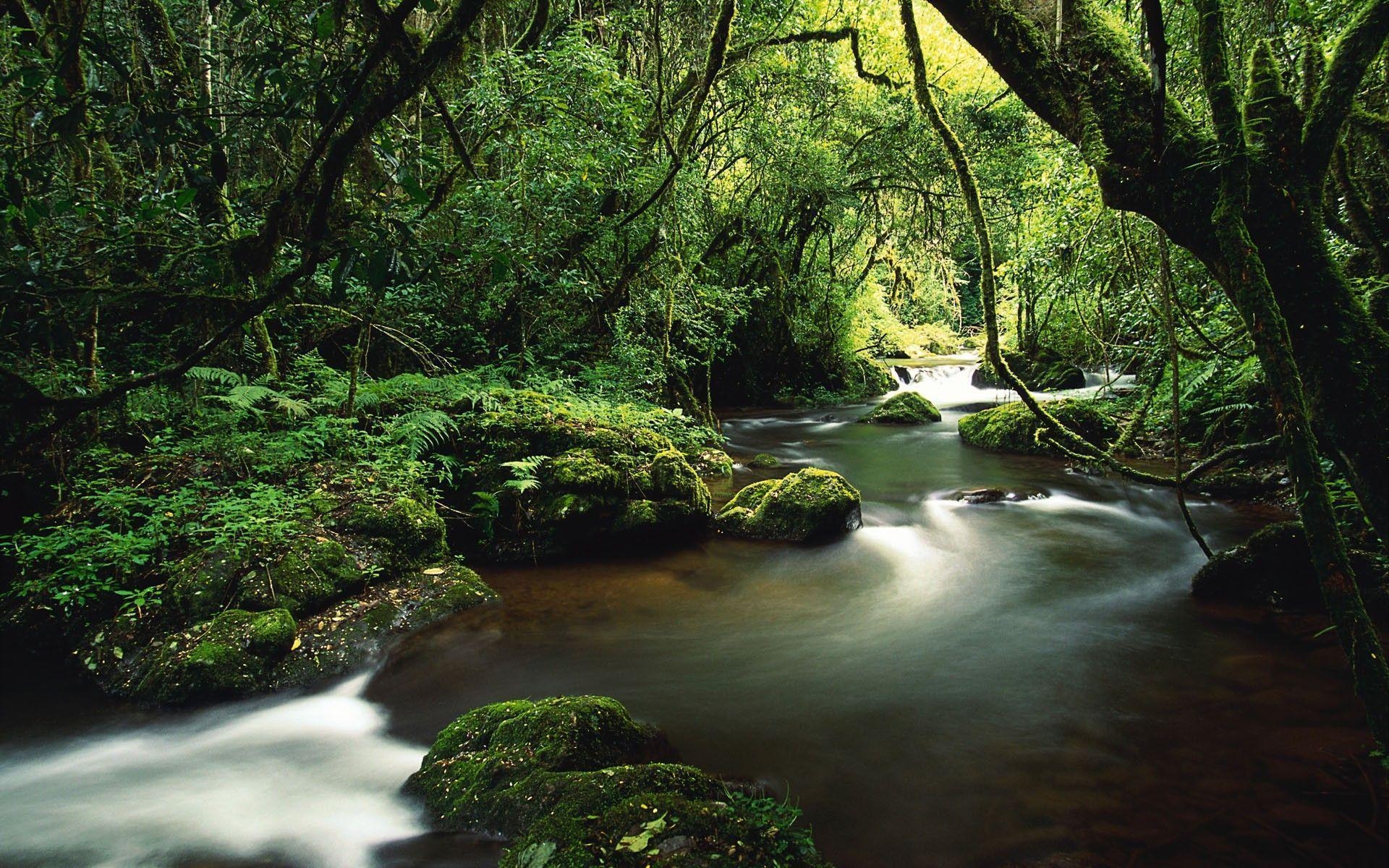 Costa Rica, Naturerlebnis, Abenteuer, Strand, Reise, 1920x1200 HD Desktop