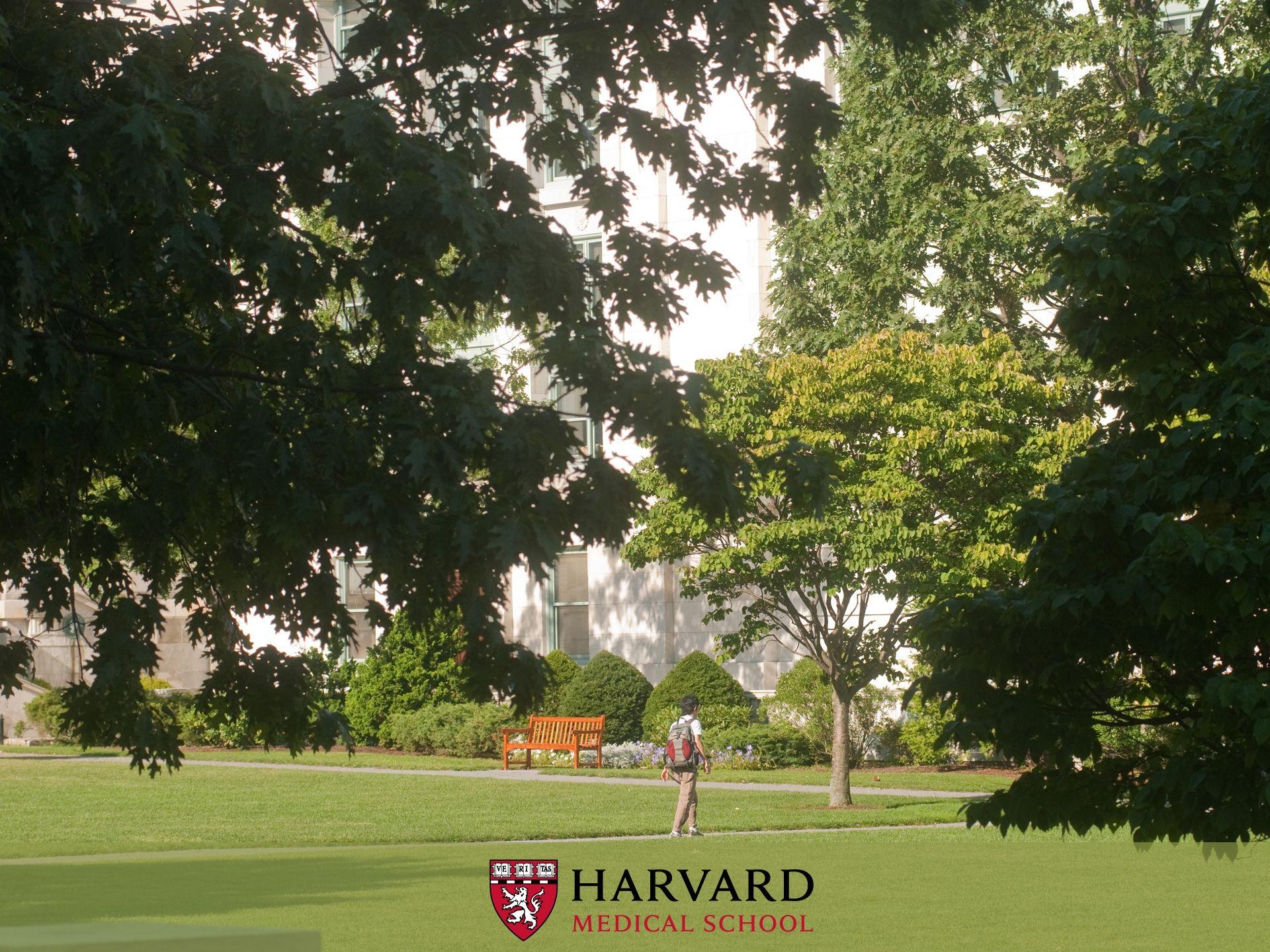 Harvard Universität, Harvard College, Bildung, USA, Geschichte, 1920x1440 HD Desktop