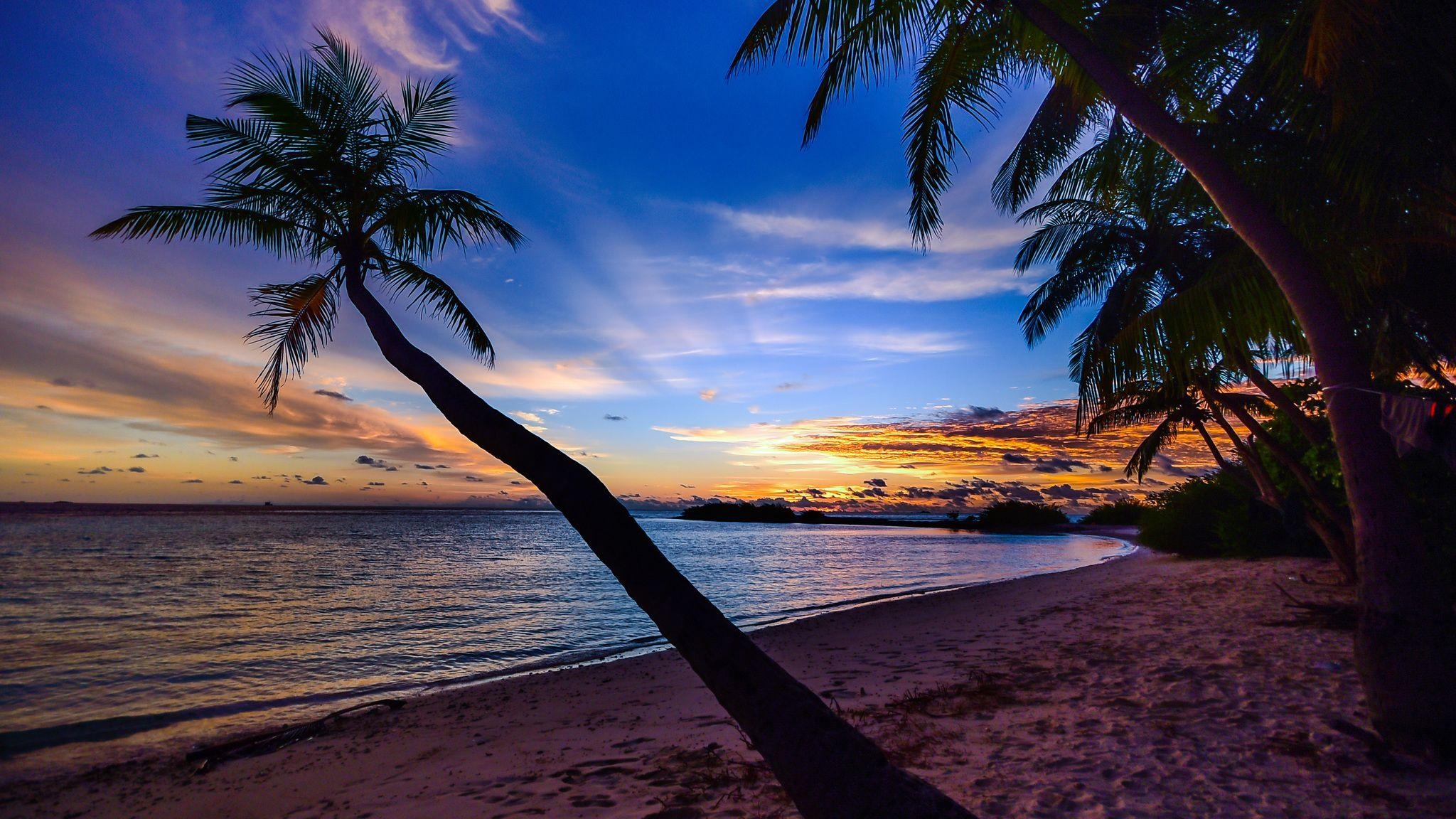 Kokosnussbäume, Strand, Wolken, HD, Auflösung, 2050x1160 HD Desktop