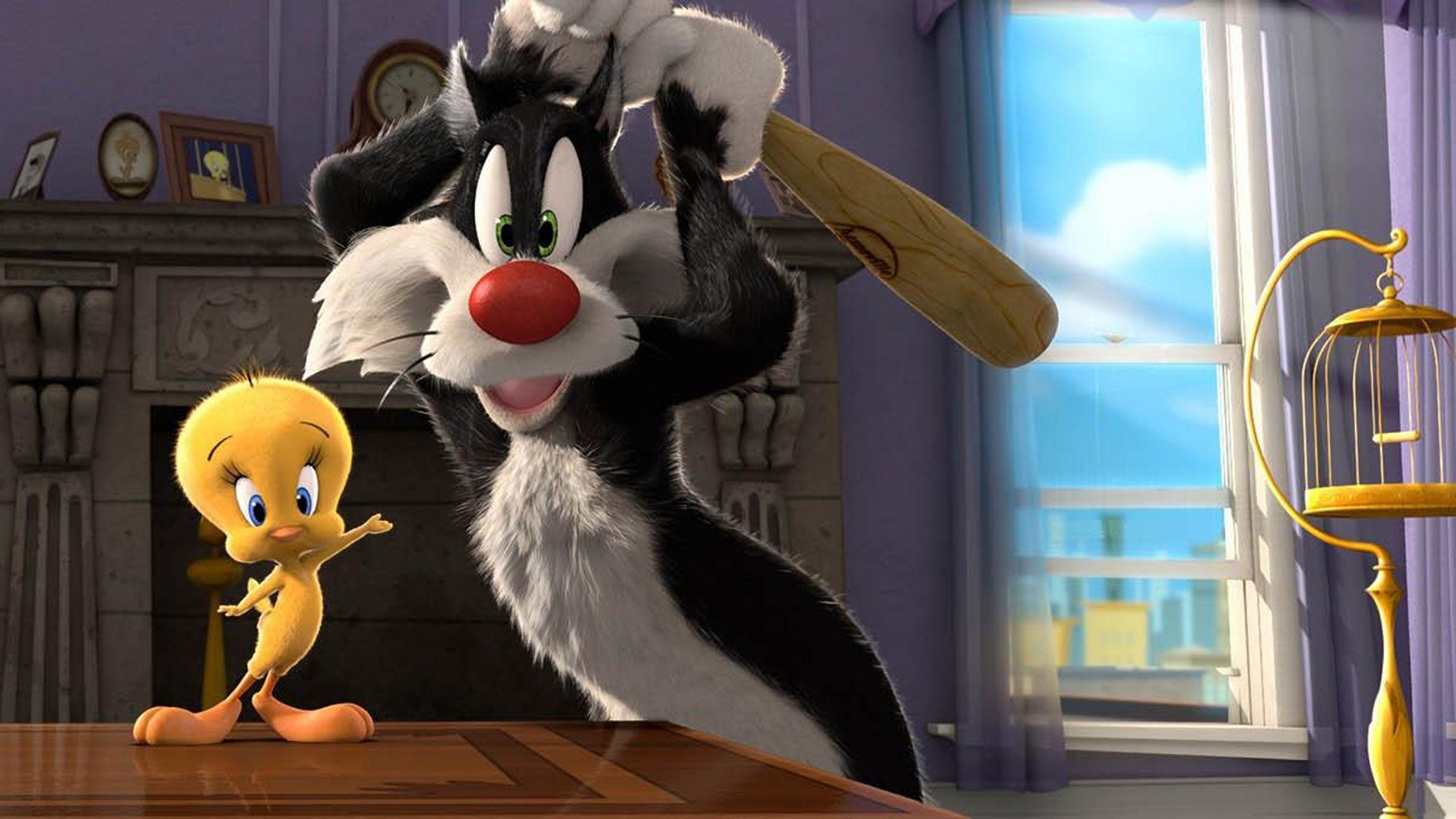 Sylvester, Tweety, Looney Tunes, Cartoon, HD Bild, 2560x1440 HD Desktop