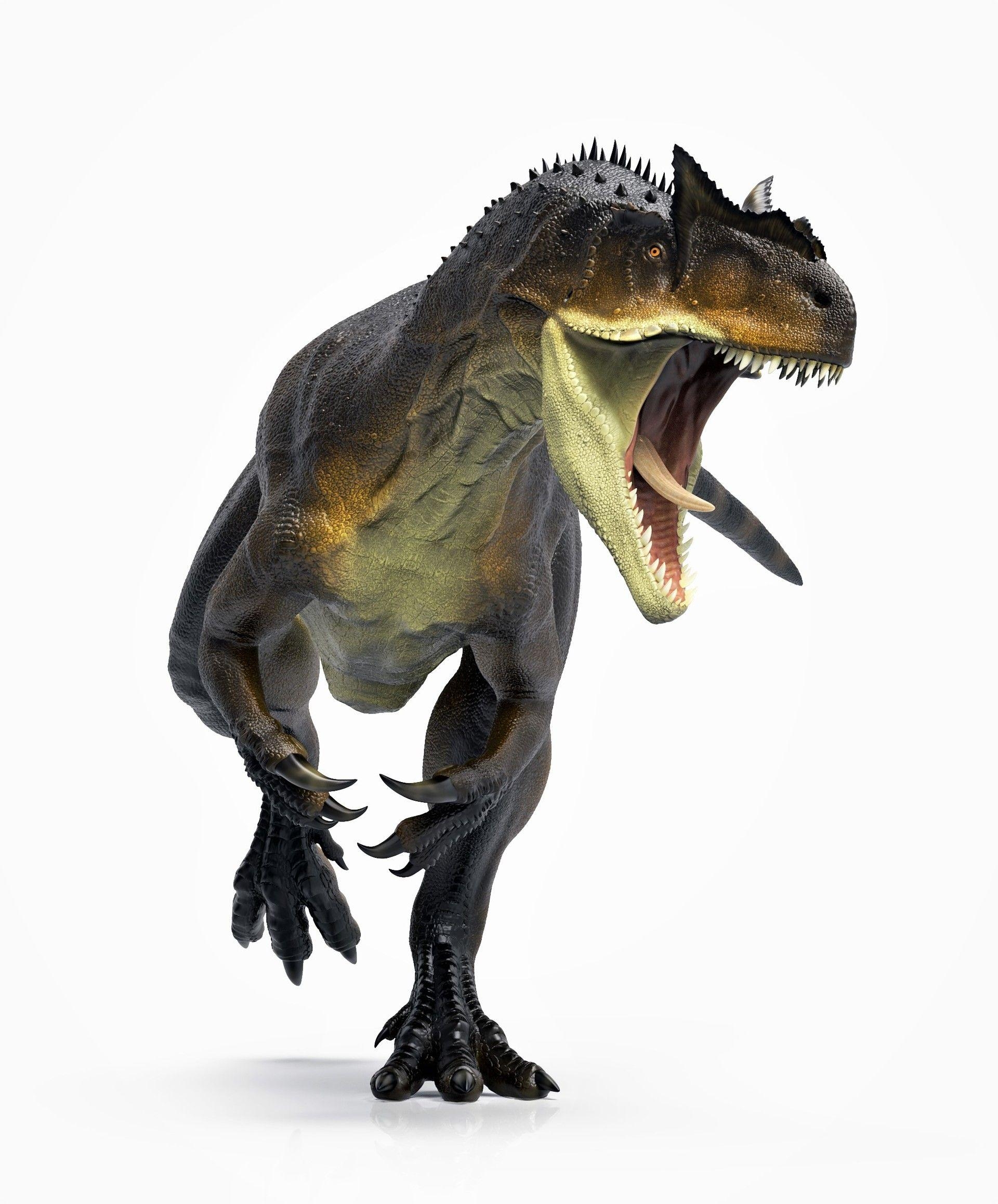 Allosaurus, Manuel Gil Jaramillo, Dinosaurierbild, Urzeitliche Tiere, Dinosaurier, 1920x2320 HD Handy