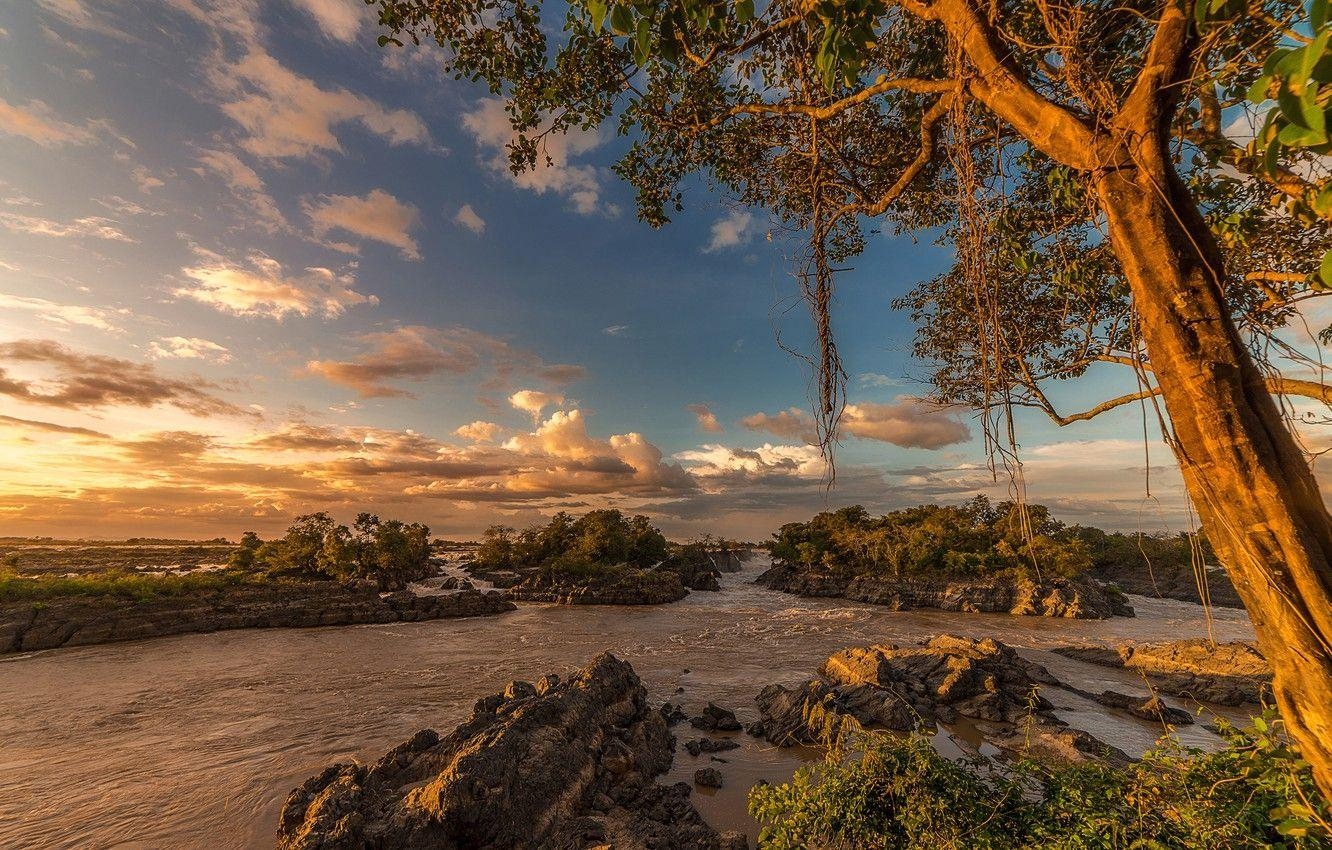 Himmel, Sonne, Bäume, Tropen, Ausblick, 1340x850 HD Desktop