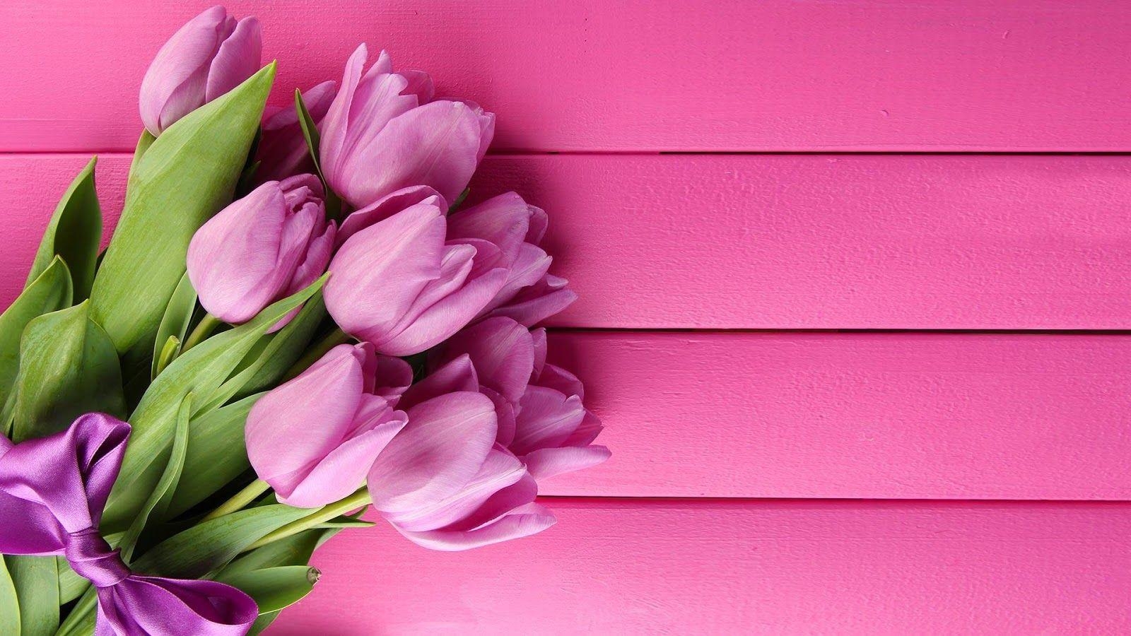 Tulpe Natur, kostenlos, Hintergrund, Blume, Frühling, 1600x900 HD Desktop