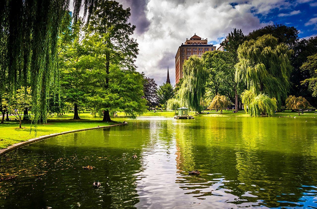 Boston, Natur, Park, Teich, Bäume, 1280x850 HD Desktop