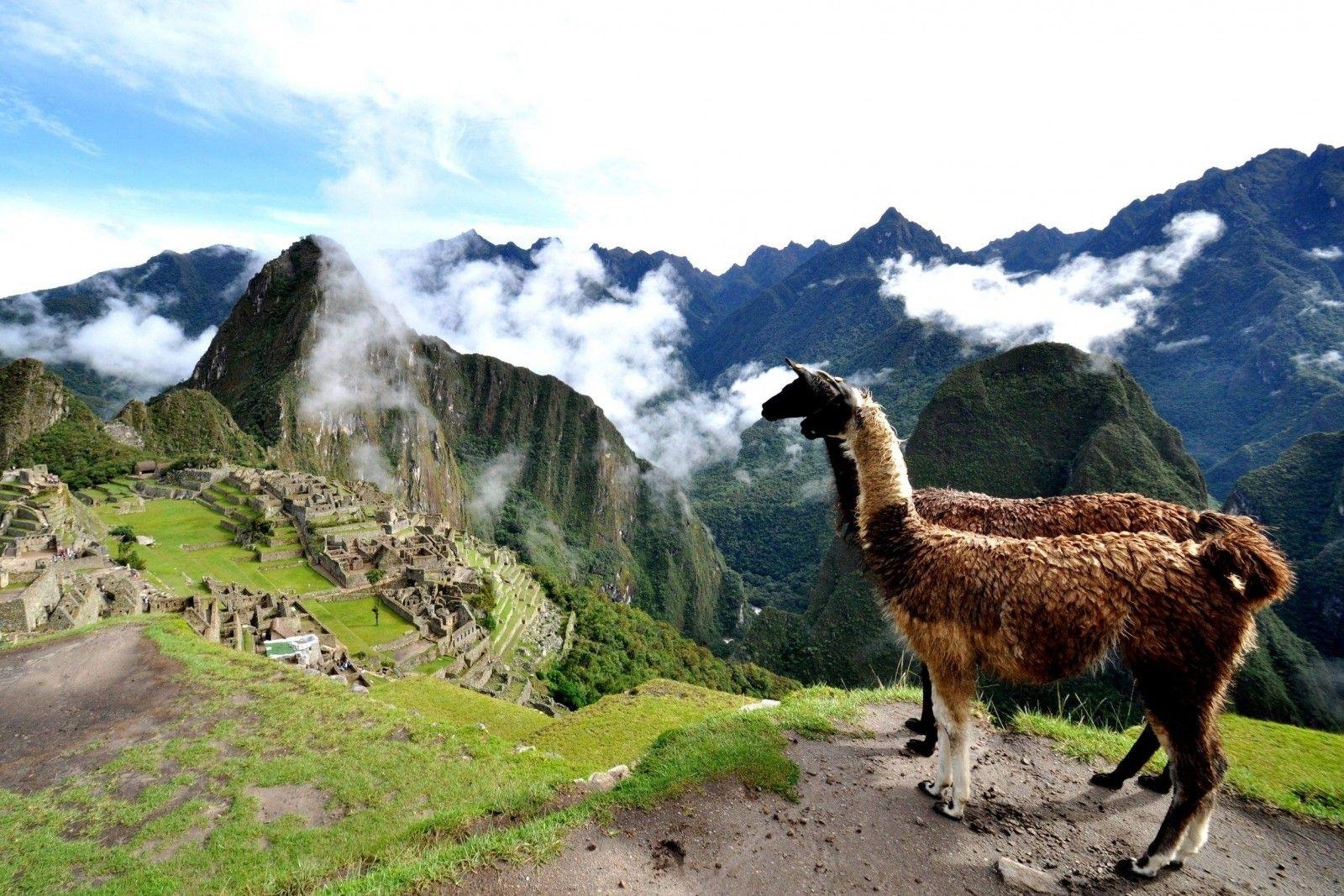 Leben, Peru, Vit59, Hintergrund, Ambiente, 1600x1070 HD Desktop