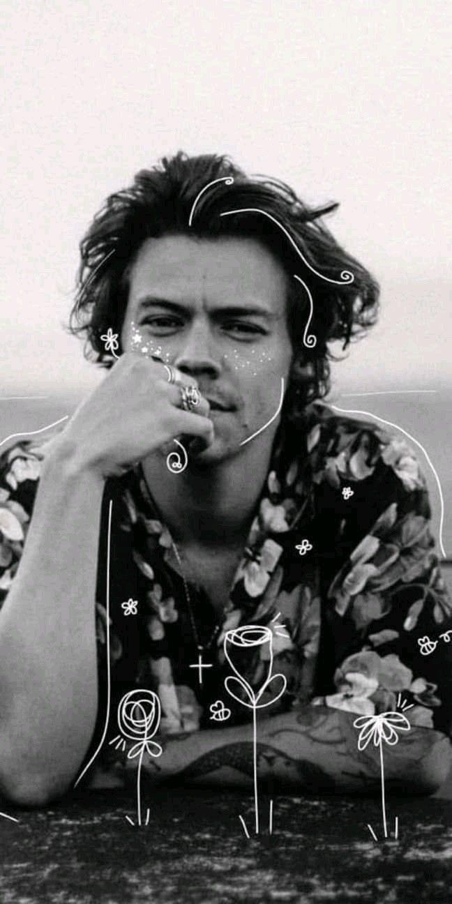 Harry Styles, Musikstar, Stilikone, Sänger, Hintergrund, 650x1300 HD Handy