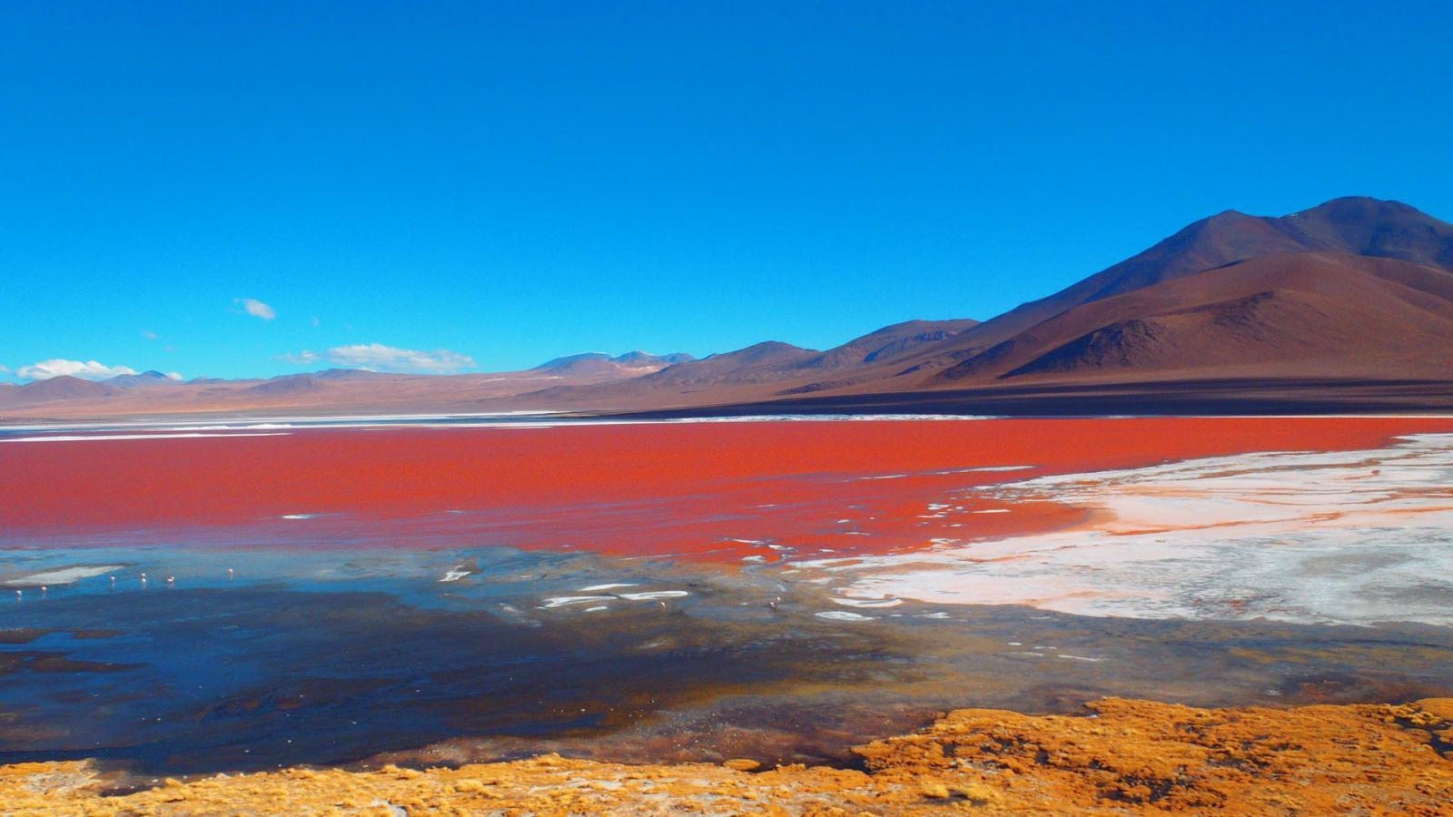 Bolivien, Natur, Abenteuer, Reisen, Anden, 1600x900 HD Desktop