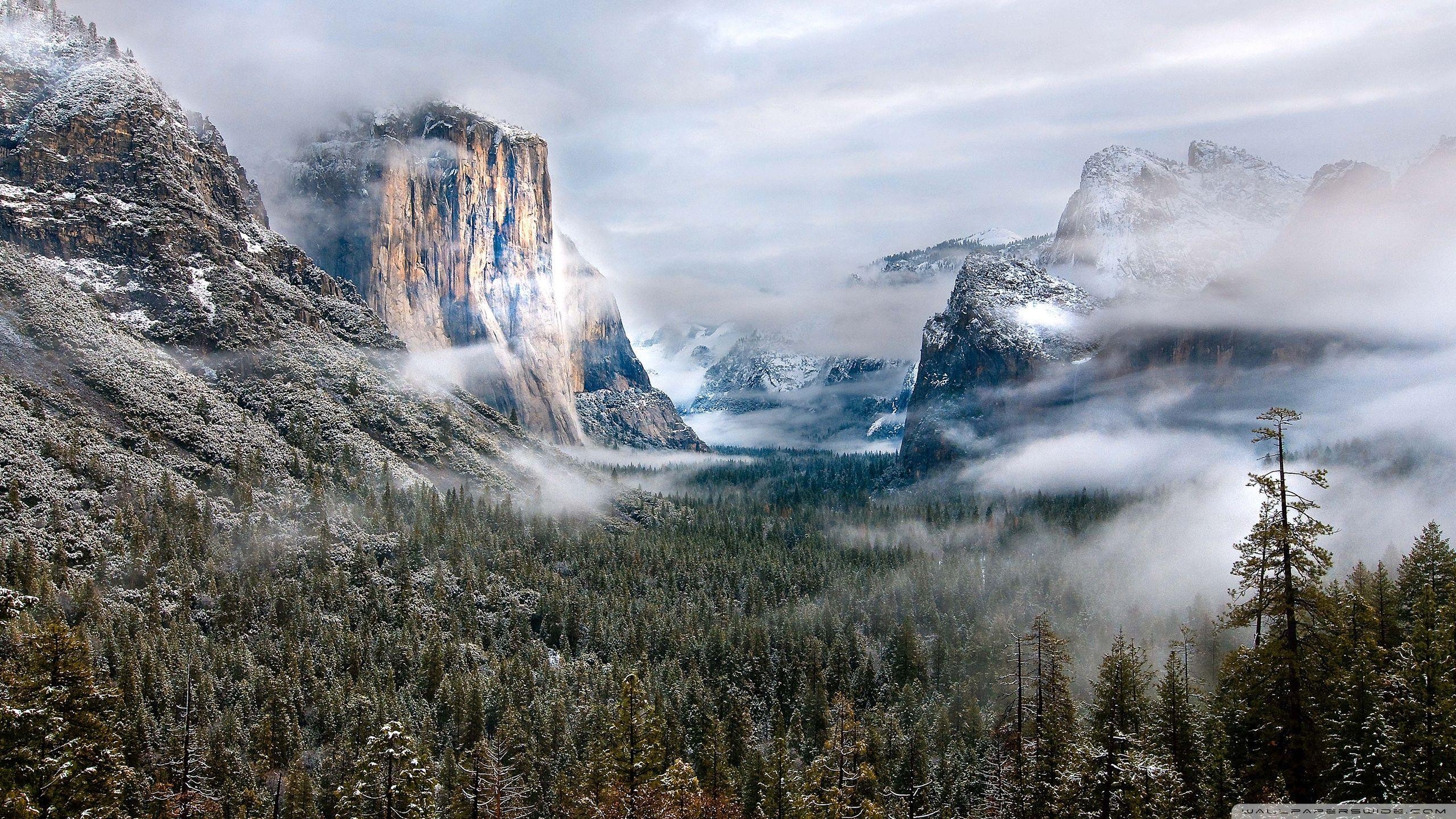 Yellowstone Nationalpark, 4K, HD, Reisen, USA, 2560x1440 HD Desktop