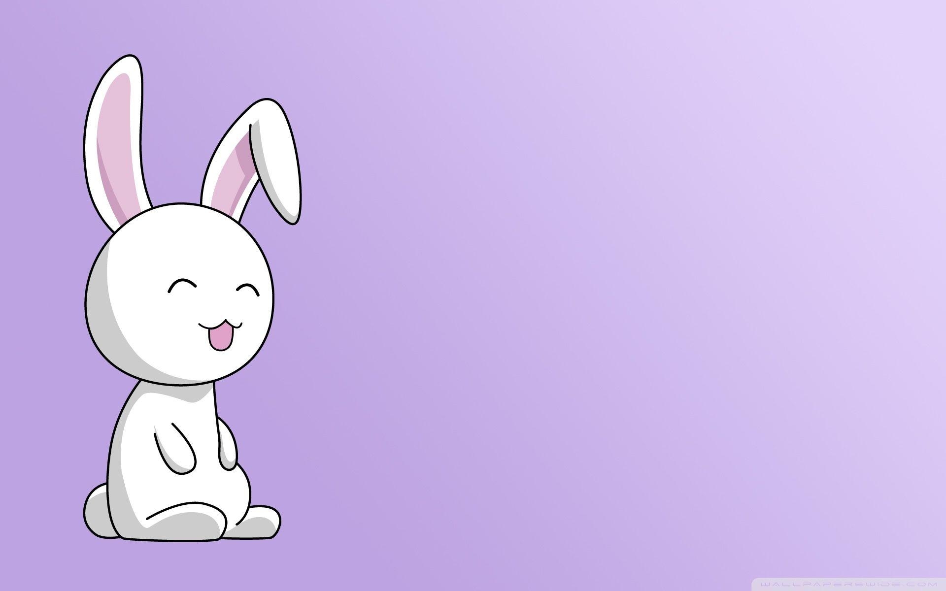 Hase, 4K, HD, Desktop, Tiere, 1920x1200 HD Desktop