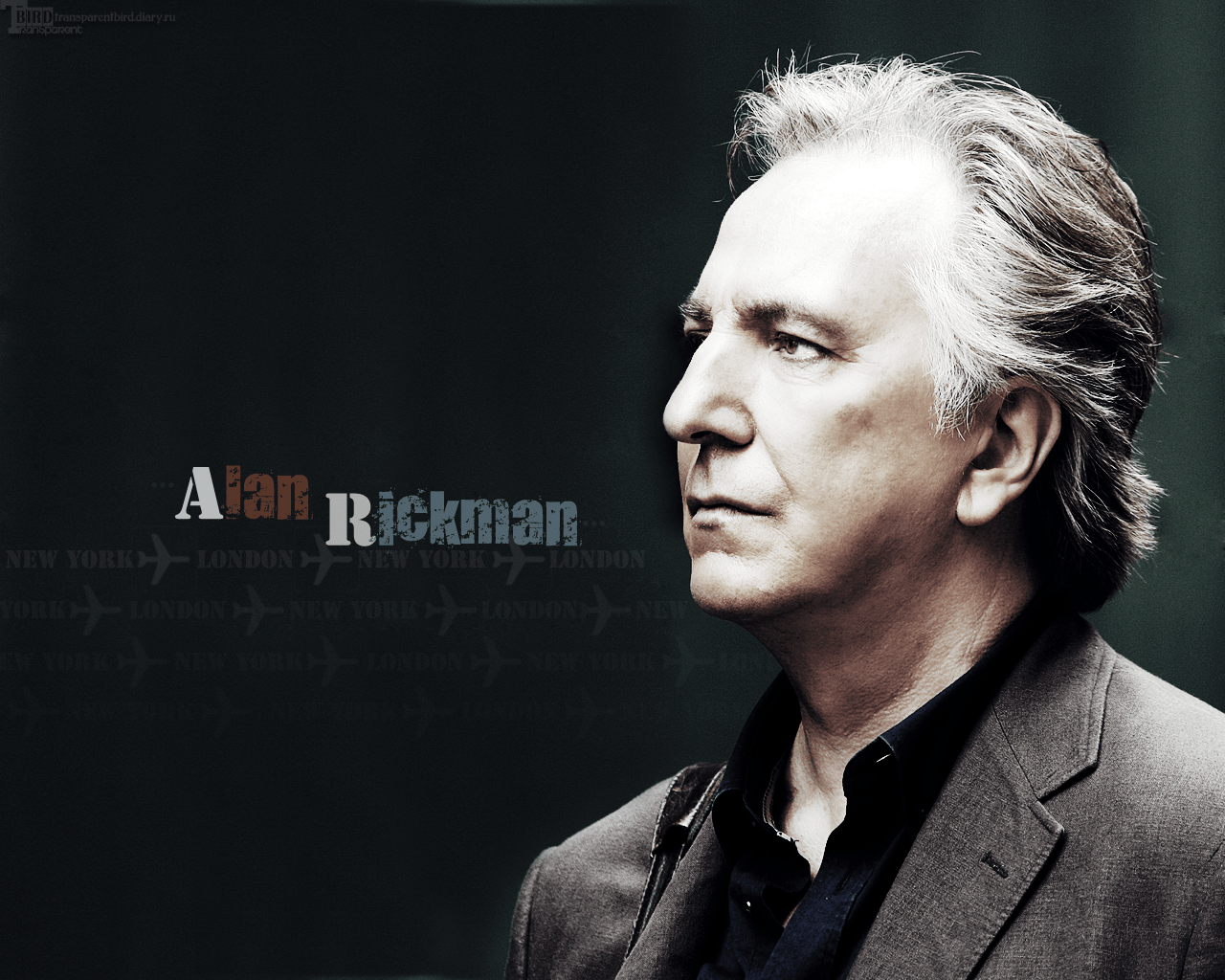 Alan Rickman, Schauspieler, Film, Britisch, Ikone, 1280x1030 HD Desktop