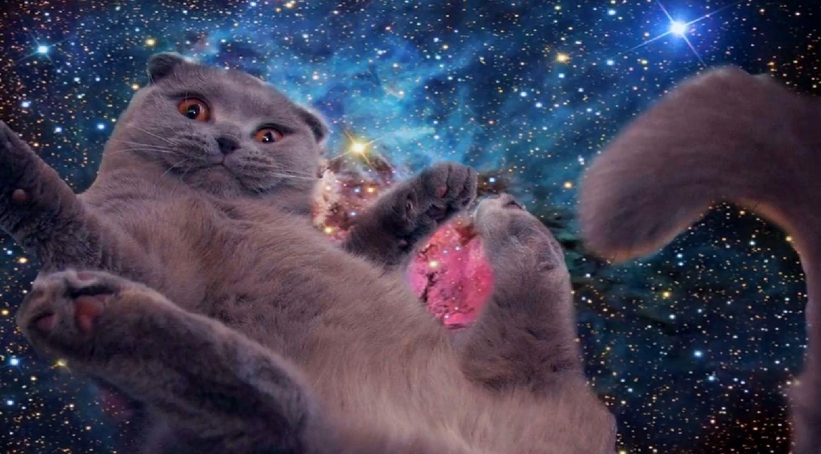 Galaxie Katze, Kätzchen, Sterne, Magisch, Kosmos, 1660x920 HD Desktop