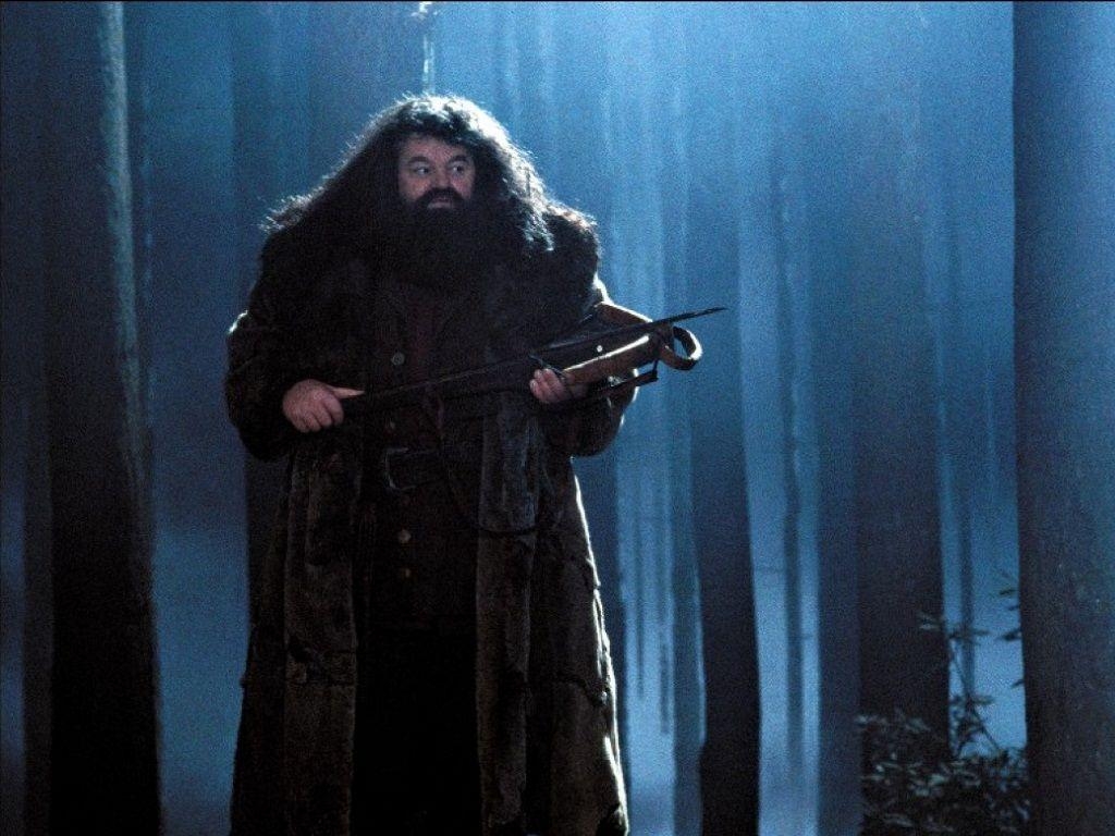 Hagrid, Filme, Zauberer, Harry Potter, Hintergrund, 1030x770 HD Desktop