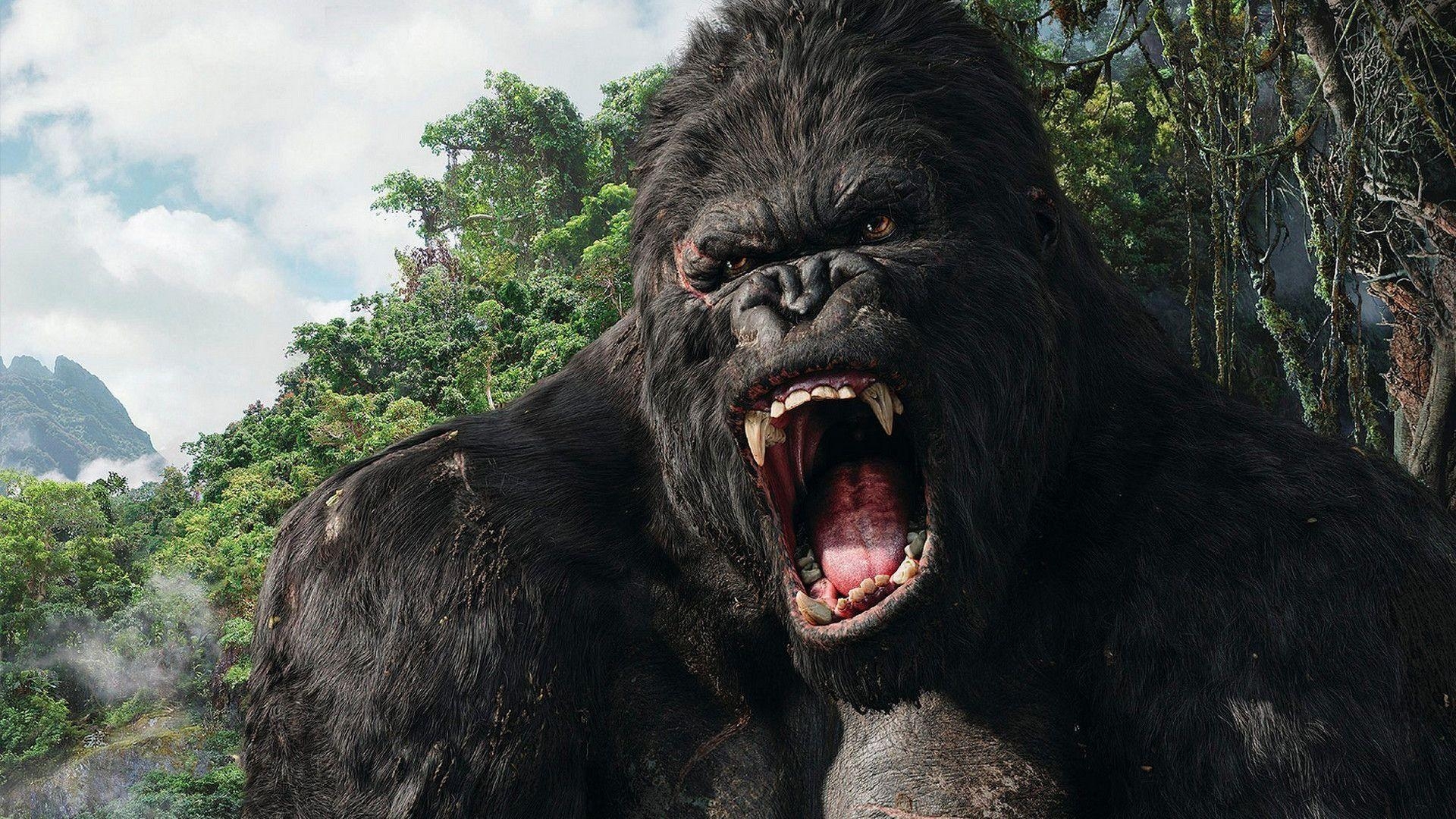 King Kong, Film, Abenteuer, Riesenaffe, Hollywood, 1920x1080 Full HD Desktop