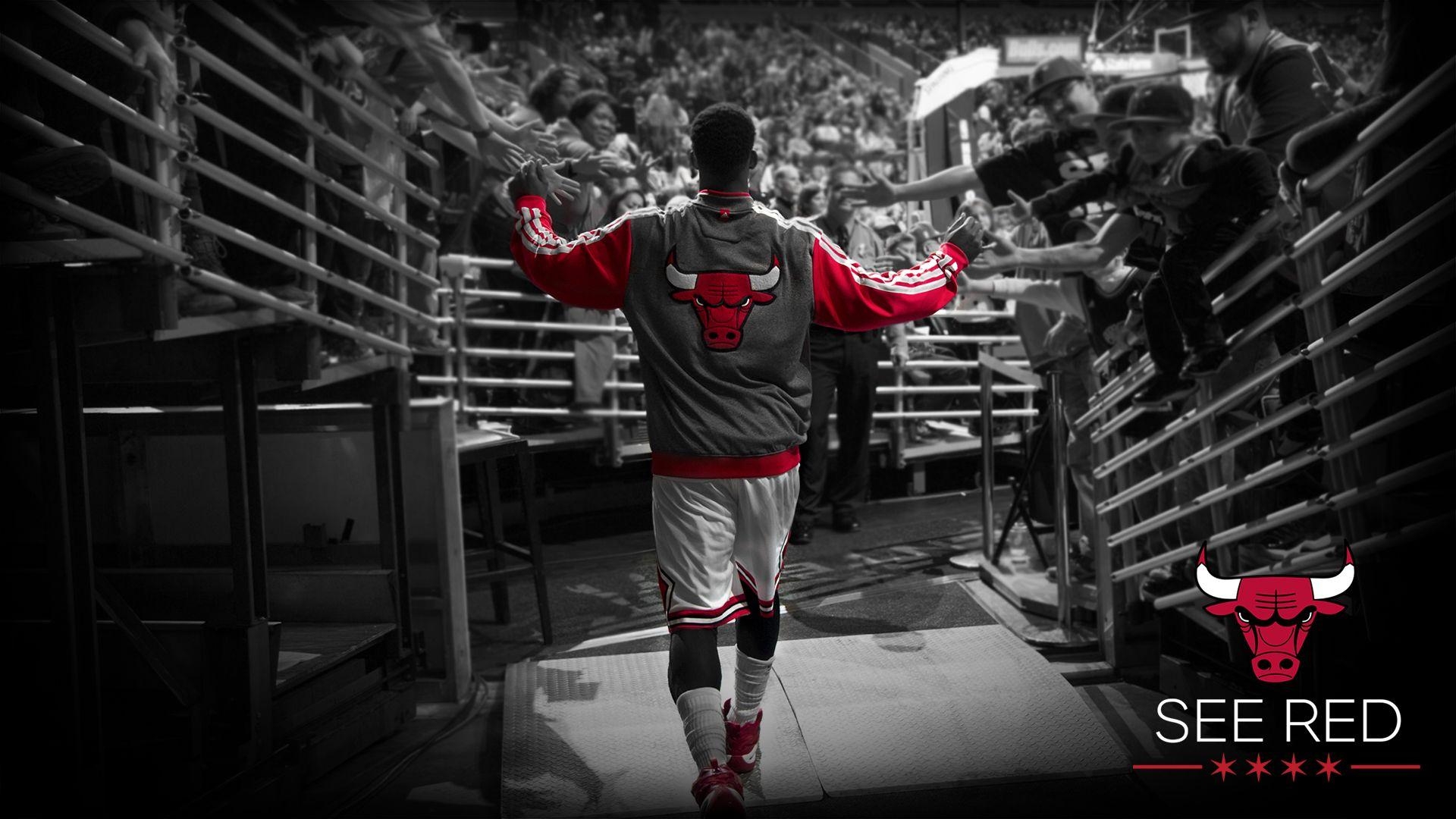 Chicago Bulls, 18x1080, NBA, Basketball, Team, 1920x1080 Full HD Desktop