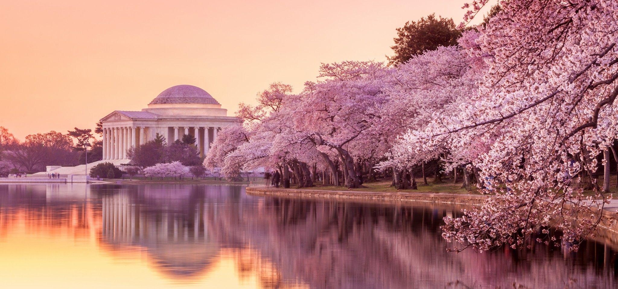 Washington DC, Reiseführer, Sehenswürdigkeiten, Hauptstadt, Monumente, 2050x960 Dual Screen Desktop