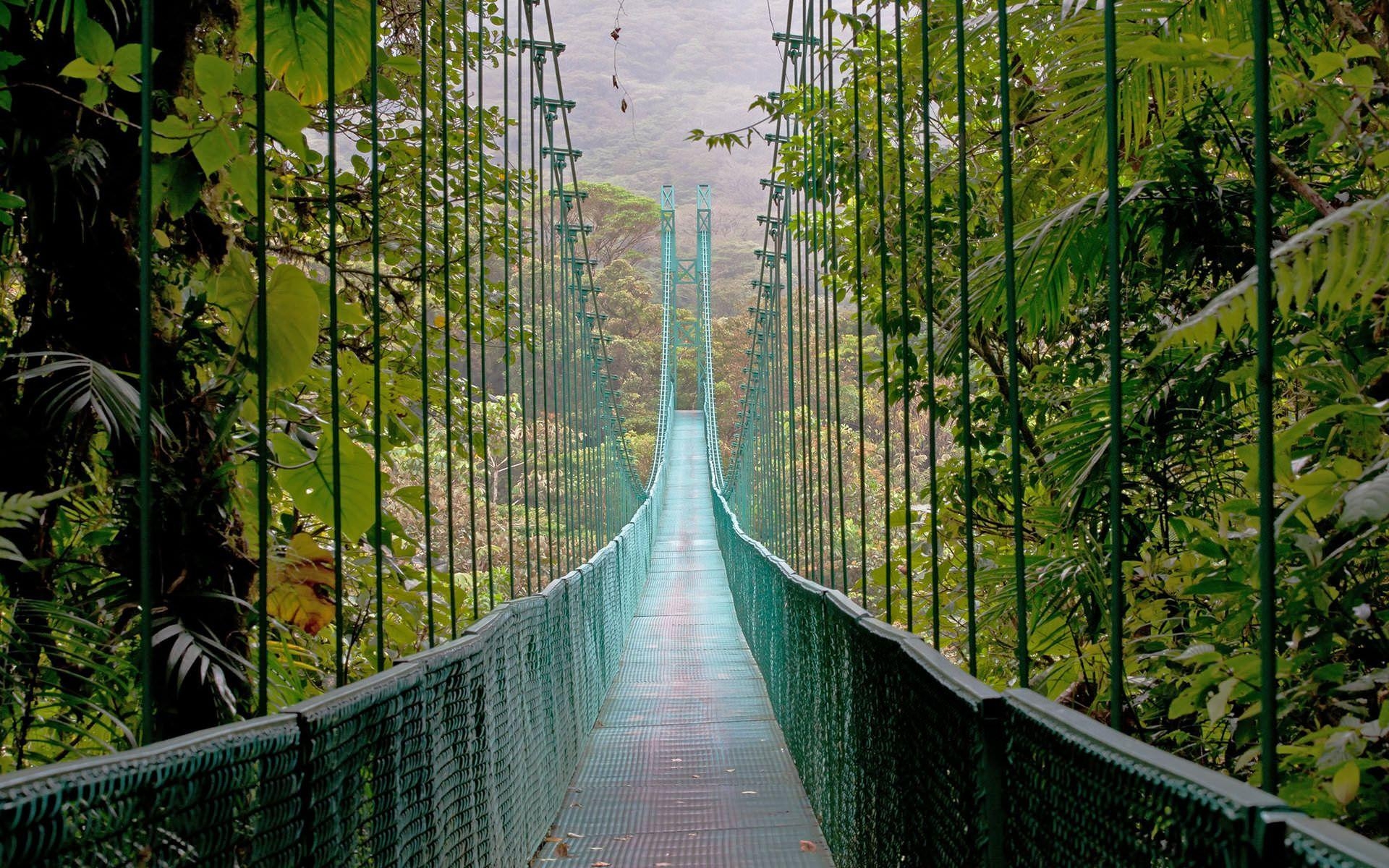 Hängebrücken, Costa Rica, Abenteuerrer, Wildnis, Natur, 1920x1200 HD Desktop