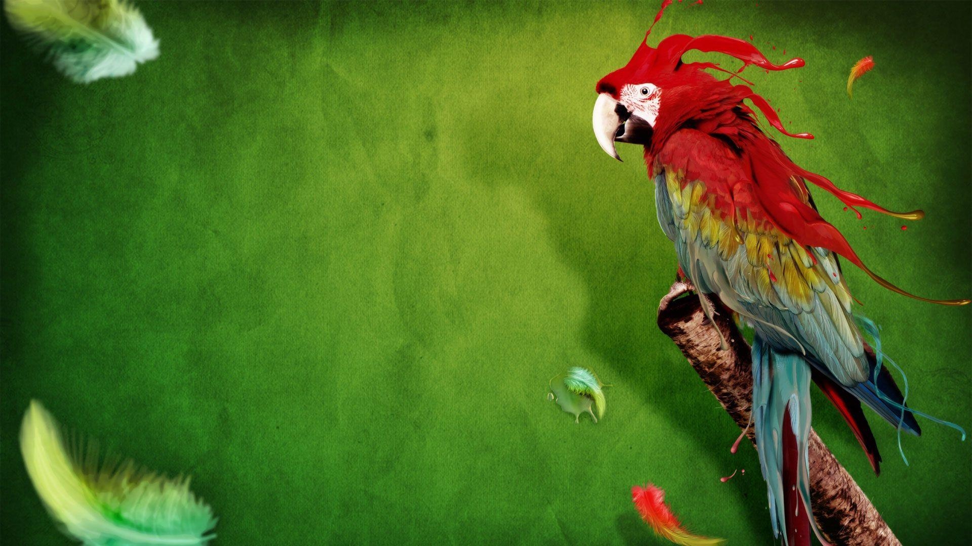 Pack94 Papagei, Bild Pixel, Exotischer Vogel, Farben, Natur, 1920x1080 Full HD Desktop