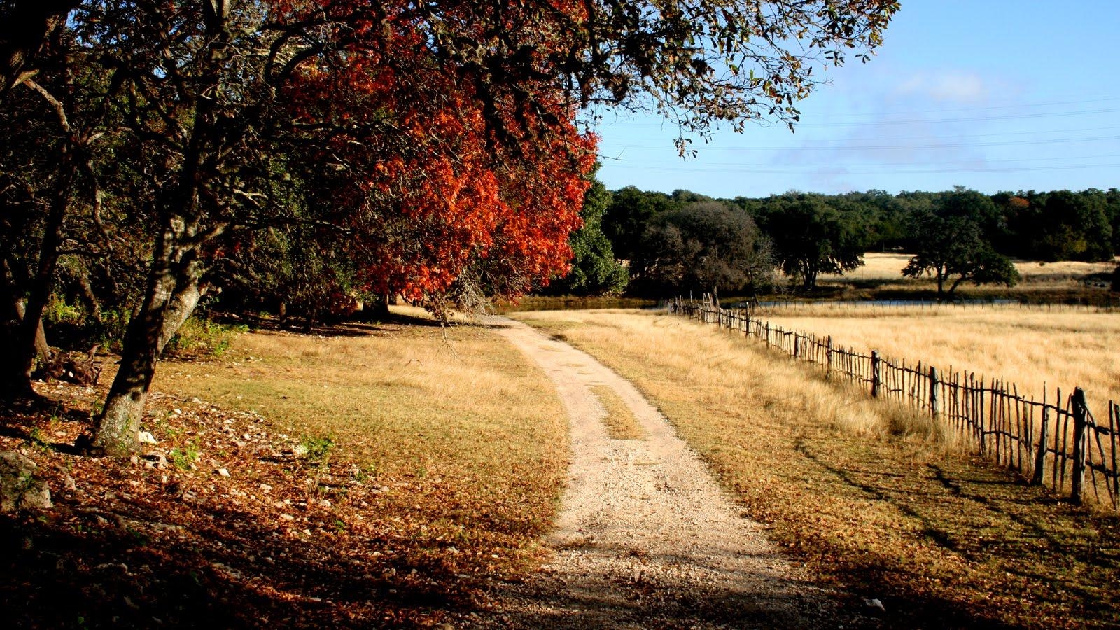 Hill Country, Texanische Landschaft, Natur, USA, Panorama, 1600x900 HD Desktop