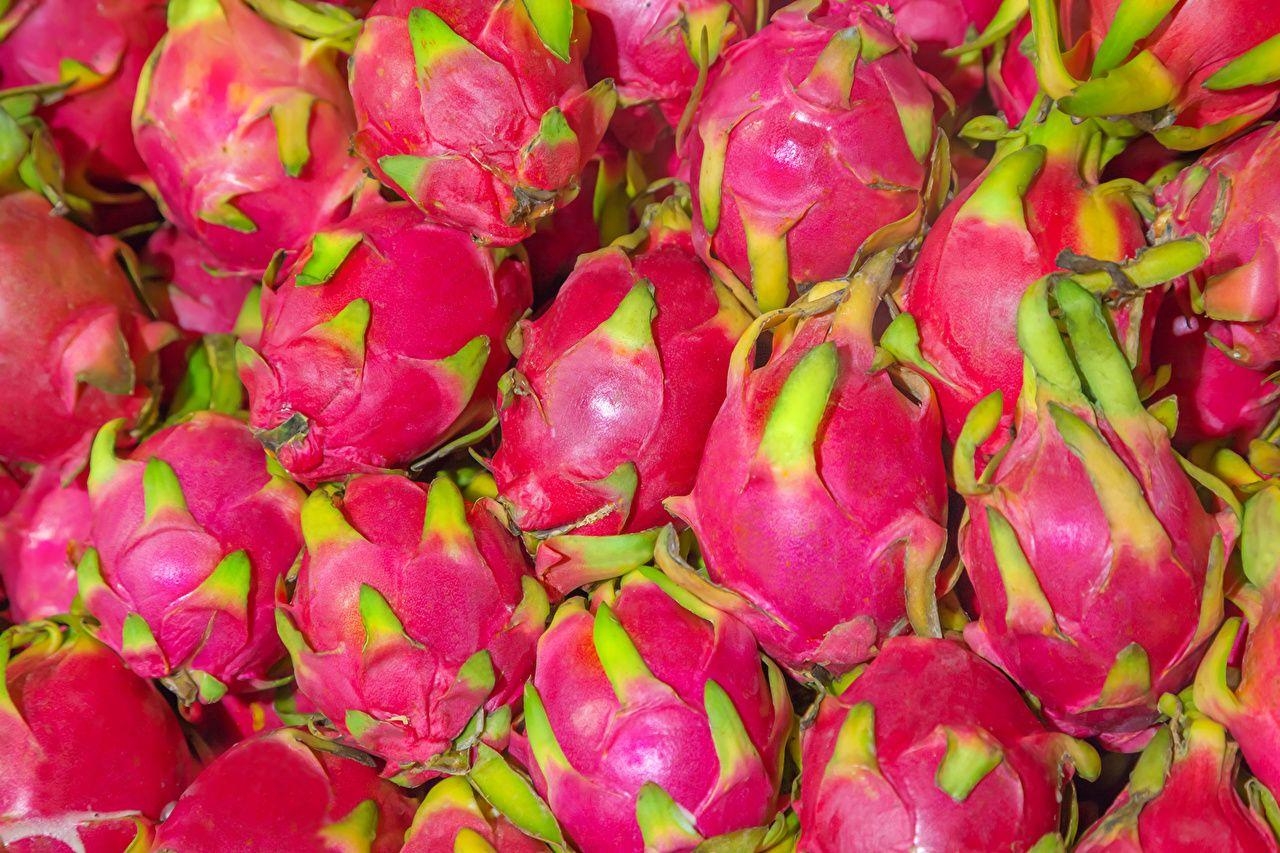 Pitaya, pinke Farbe, Lebensmittelfoto, Nahaufnahme, Frucht, 1280x860 HD Desktop