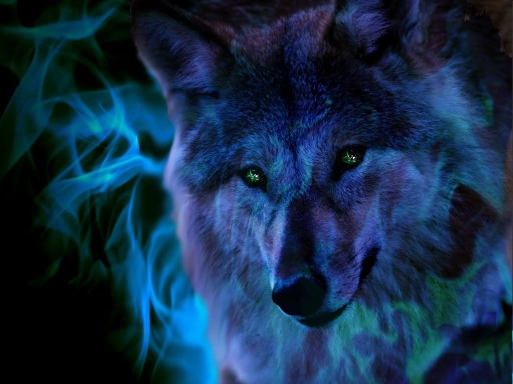 Geisttier, Wolf, Intuition, Symbolik, Natur, 1030x770 HD Desktop