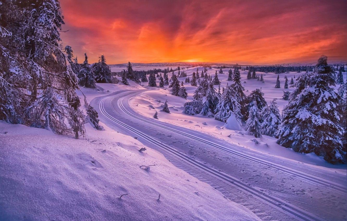 Schlittenfahren, Winter, Norwegen, Straße, Bild, 1340x850 HD Desktop