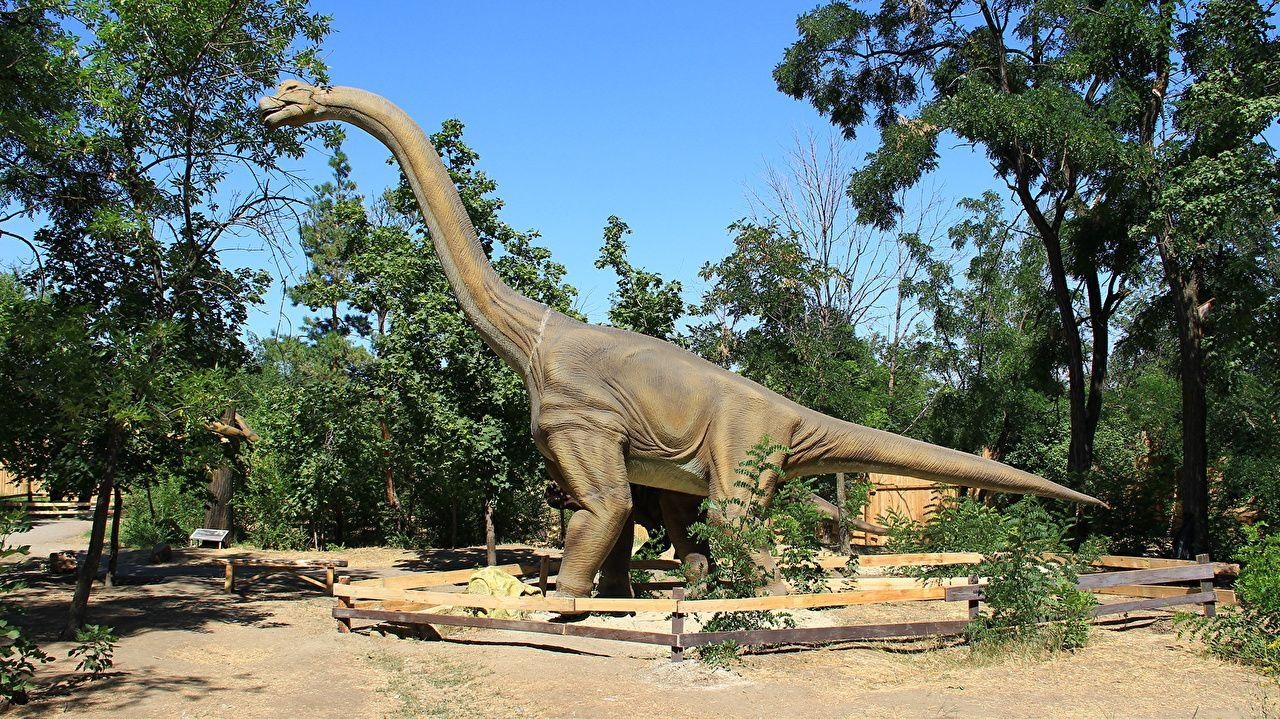 Foto, Wolgograd, Dinosaurier, Brachiosaurus, Tiere, 1280x720 HD Desktop