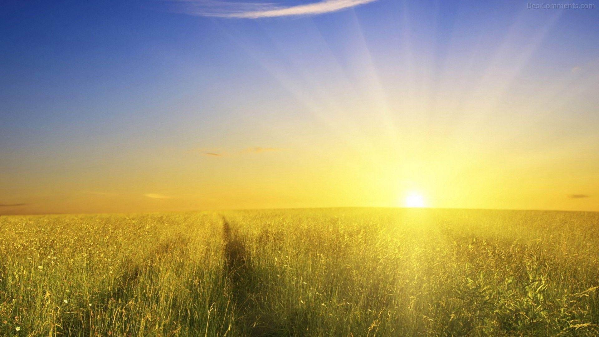 Aufgehende Sonne, Naturbild, HD, Morgensonne, Landschaft, 1920x1080 Full HD Desktop