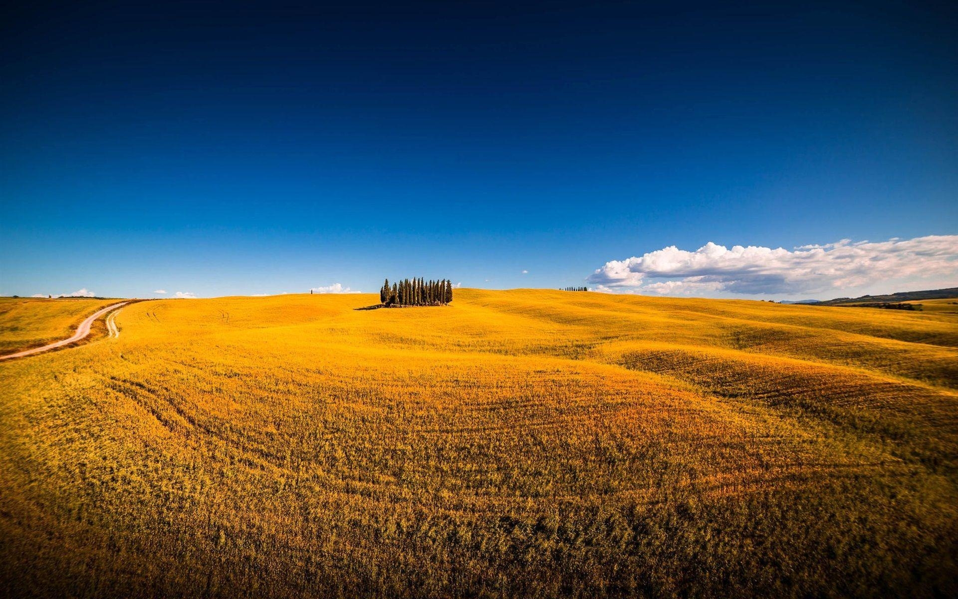 Siena, Italien, Sommer, Felder, Landschaft, 1920x1200 HD Desktop