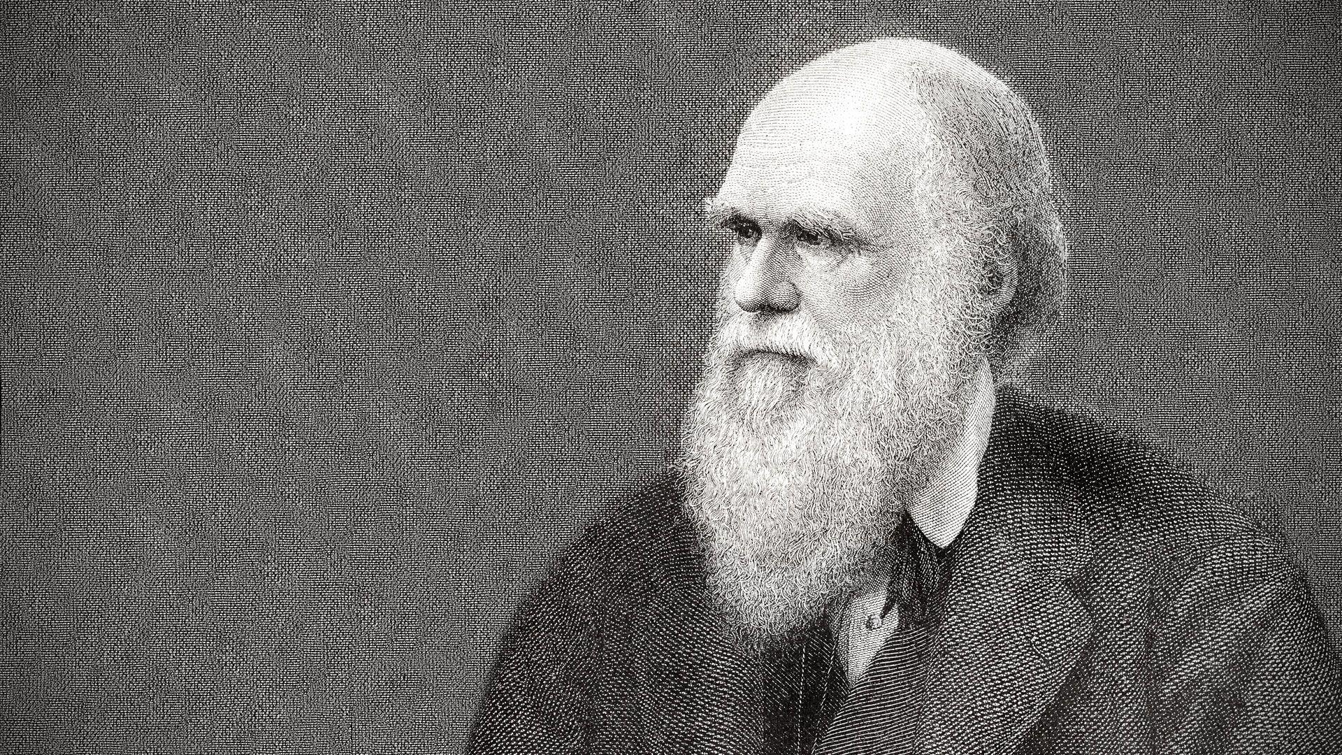 Charles Darwin, Biographie, natürliche Selektion, Wissenschaft, 1920x1080 Full HD Desktop