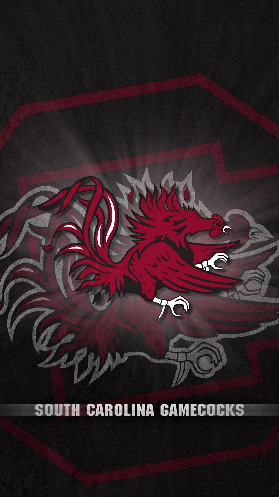 Gamecocks, University, South Carolina, Fußball, Team, 1080x1920 Full HD Handy