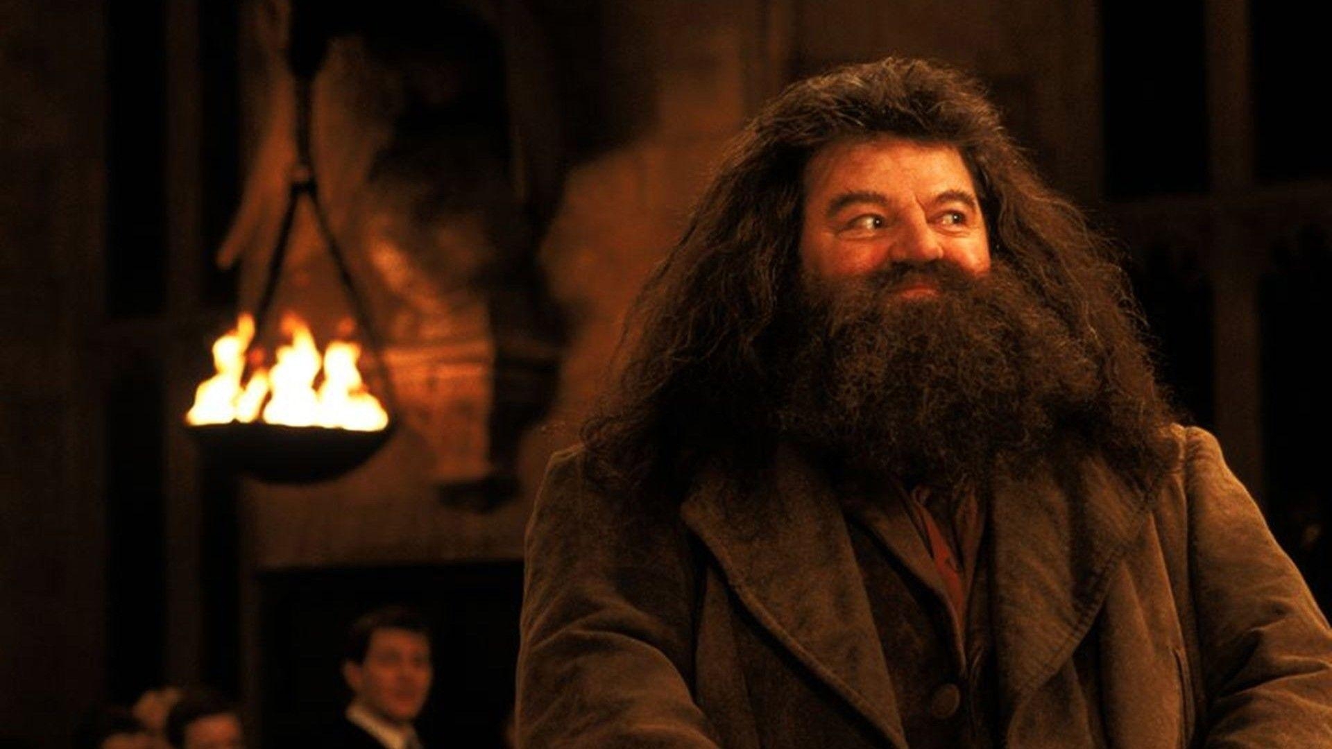 Rubeus Hagrid, Harry Potter, Zauberer, Filme, Hintergrund, 1920x1080 Full HD Desktop