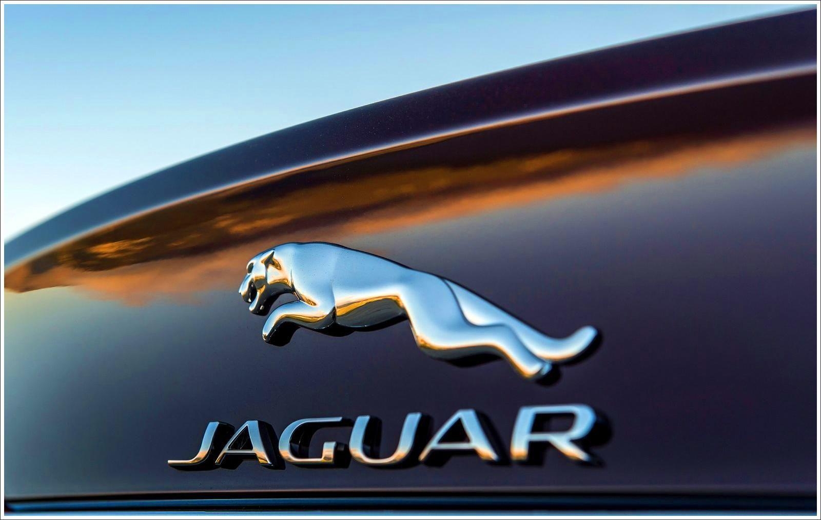 Jaguar Logo, HD, Hintergrund, Download, Fahrzeug, 1600x1020 HD Desktop