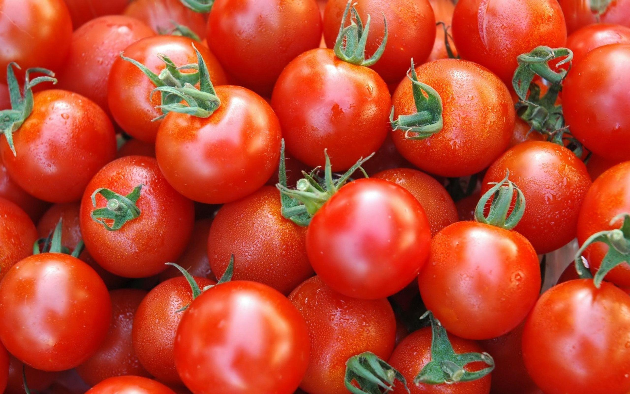 Tomate, Breitbild, Hintergrund, Bild, Gemüse, 2560x1600 HD Desktop