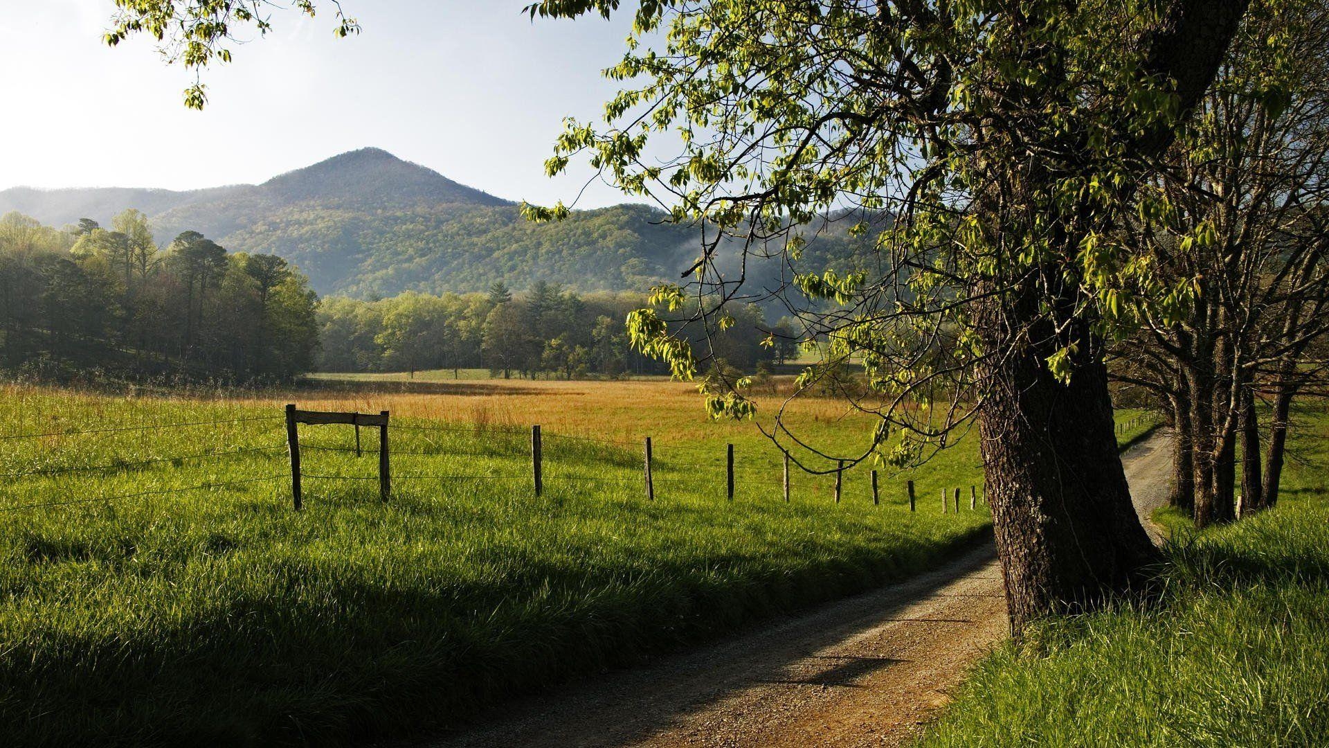 Natur, Nationalpark, Berge, USA, Landschaft, 1920x1080 Full HD Desktop