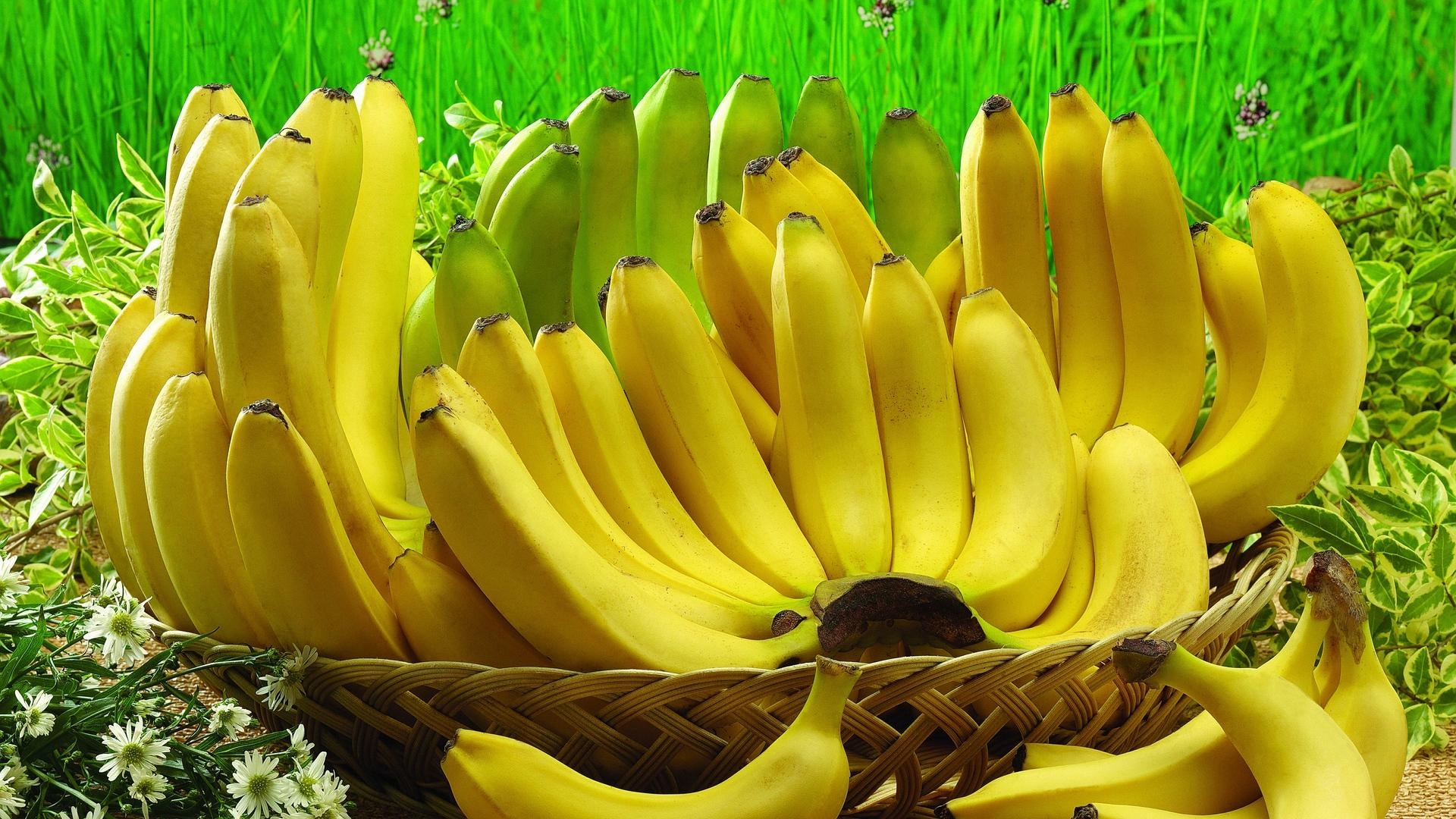 Download, Banane, Obstkorb, Voll HD, HDTV, 1920x1080 Full HD Desktop