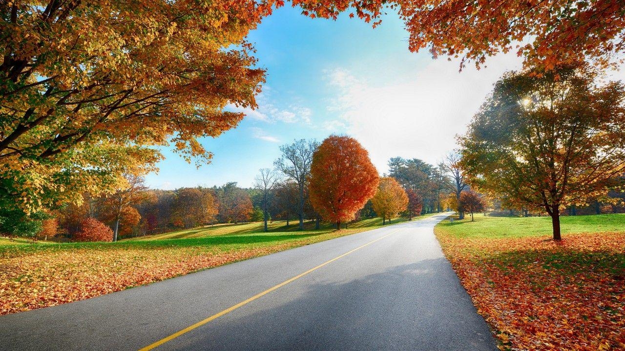 Herbstlaub, Autobahn, Natur, HD, Landschaft, 1280x720 HD Desktop