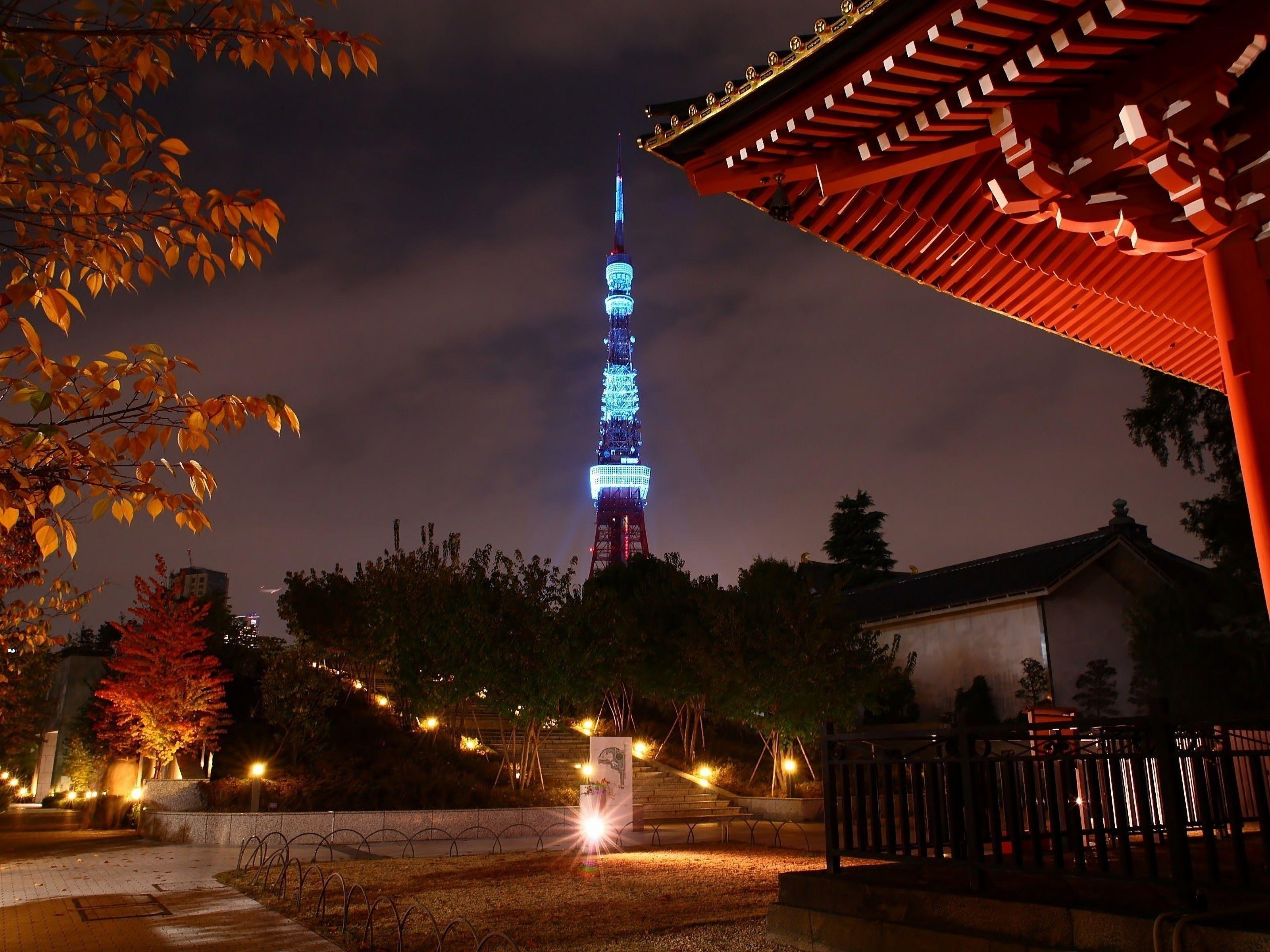 Japan, Tokio, Bäume, Stadtansicht, Lichter, 3200x2400 HD Desktop