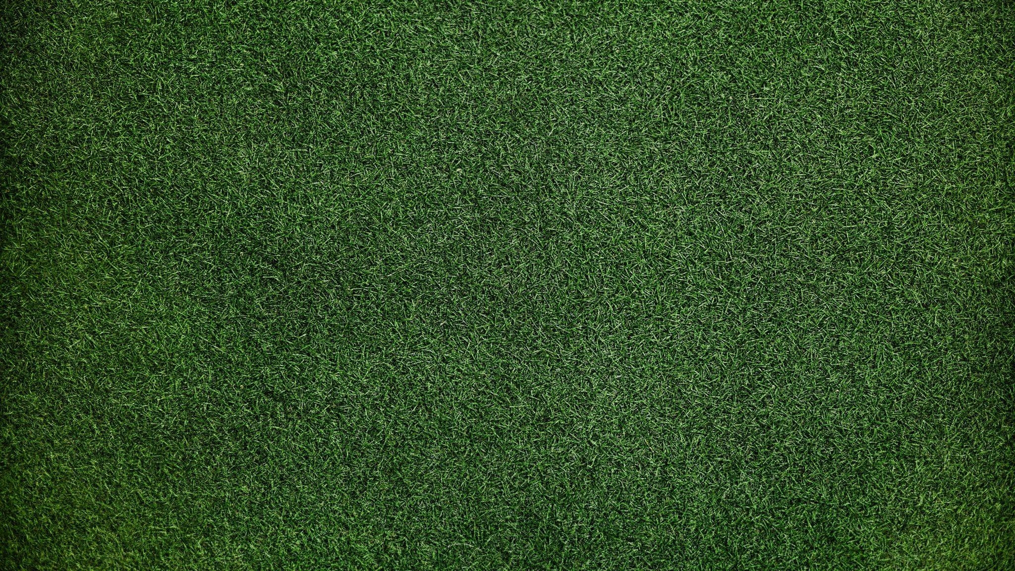 Gras, Hintergrund, Auflösung, HD, 4K, 2050x1160 HD Desktop