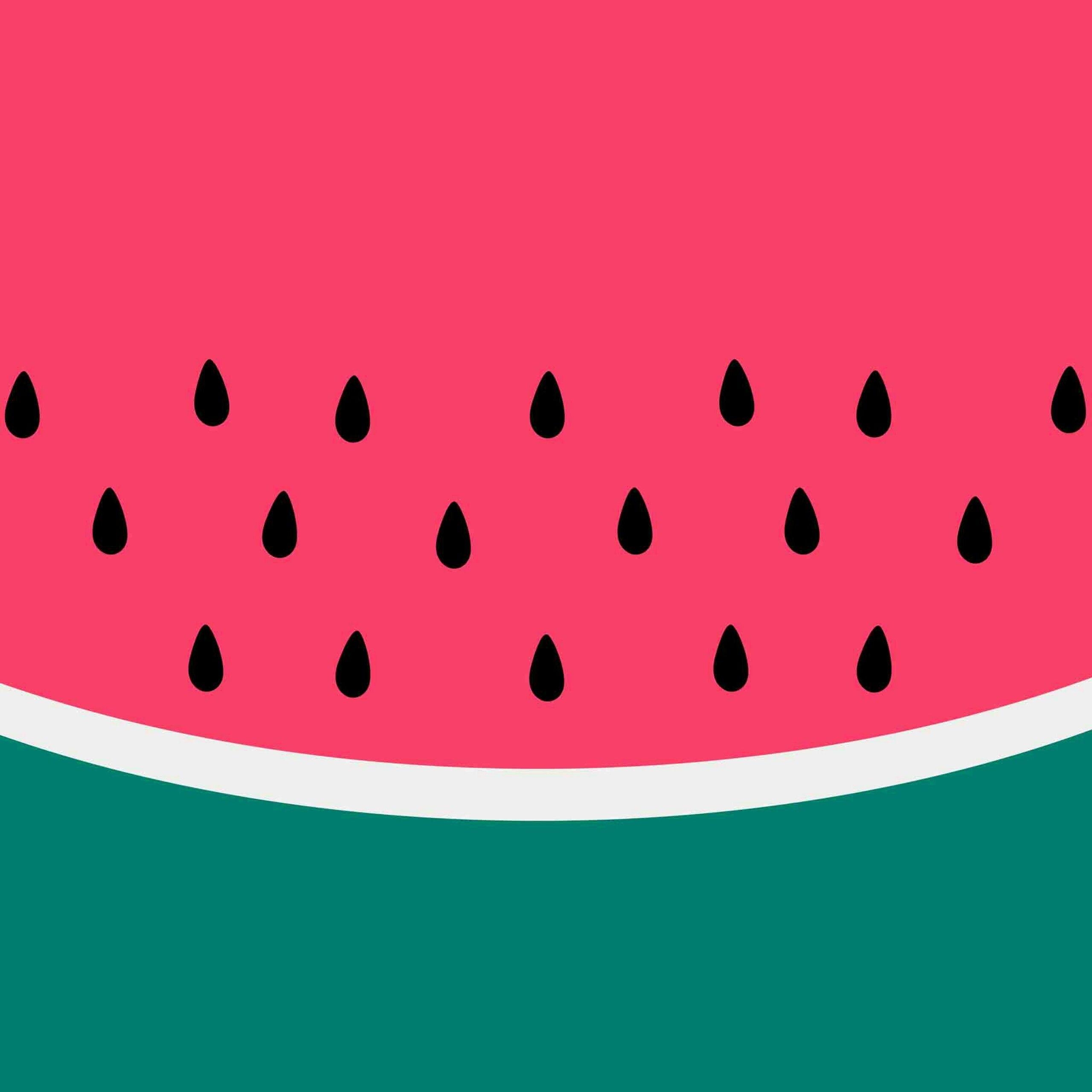 Wassermelone, Lebensmittel, Vektor, QHD, Bild, 2560x2560 HD Handy