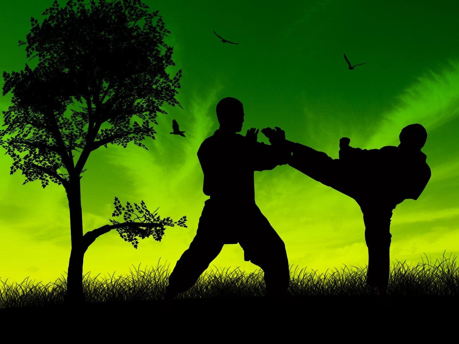 Taekwondo, Martial Arts, Training, Hintergrund, Sport, 1600x1200 HD Desktop